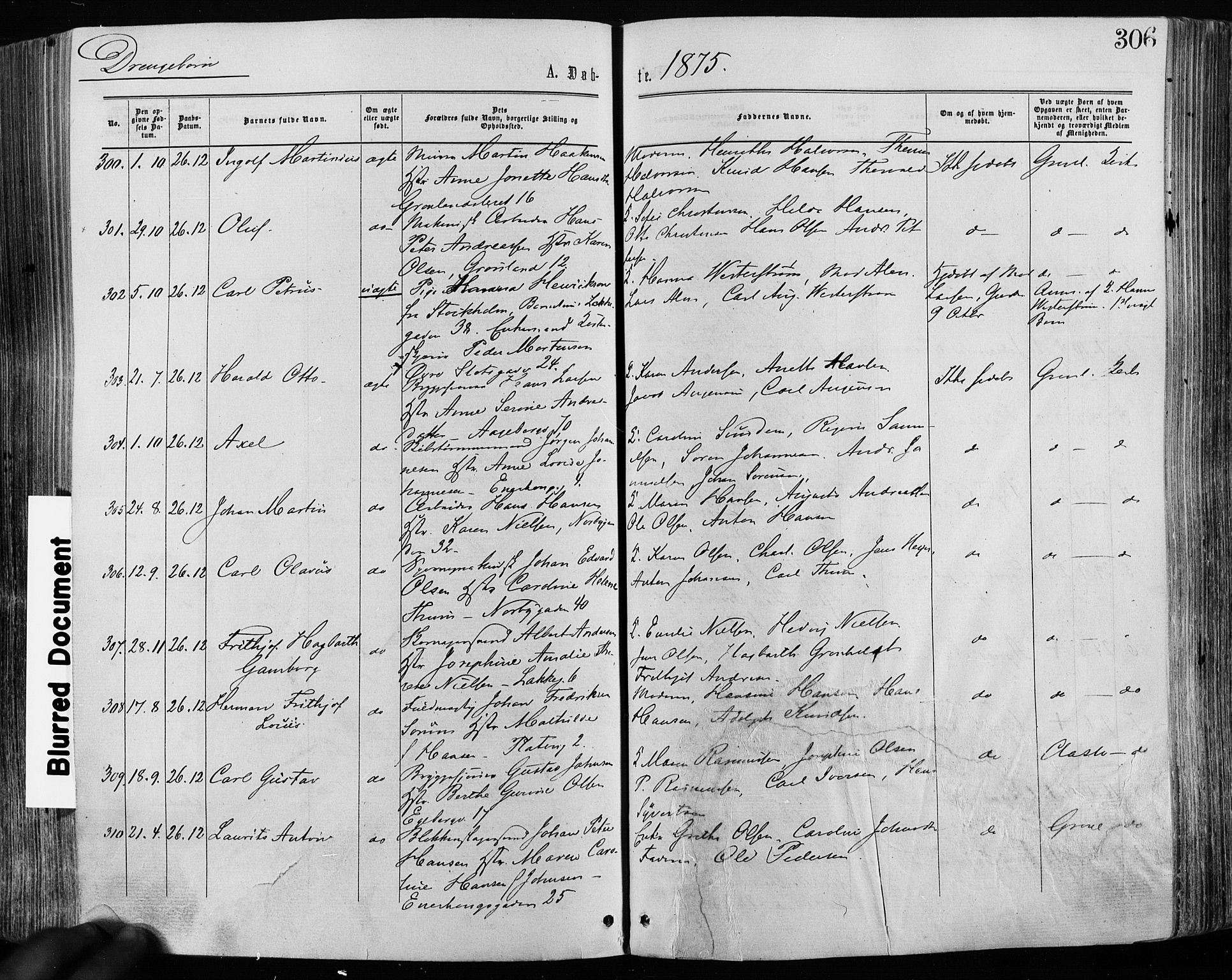 Grønland prestekontor Kirkebøker, SAO/A-10848/F/Fa/L0004: Parish register (official) no. 4, 1869-1880, p. 306