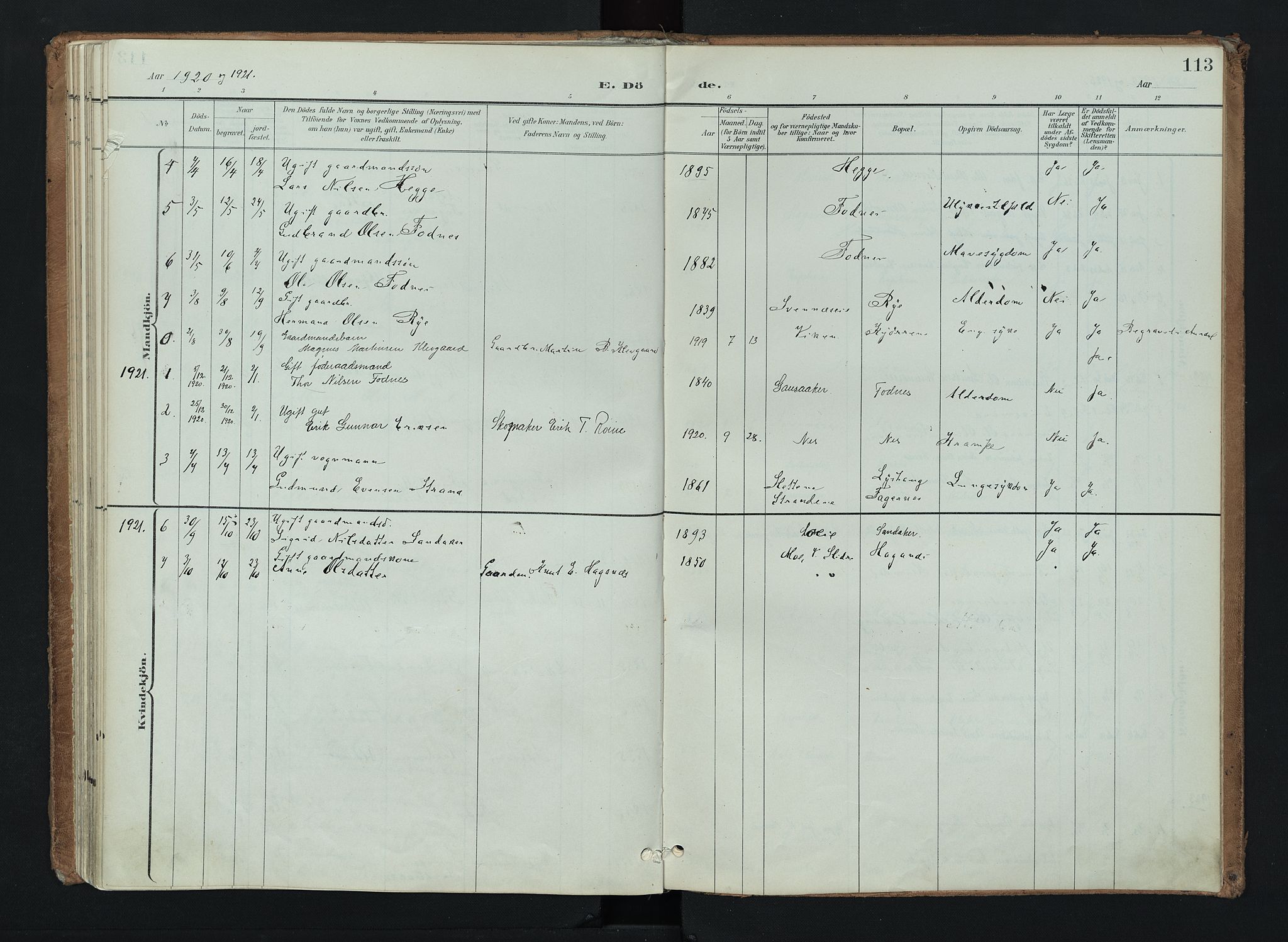 Nord-Aurdal prestekontor, SAH/PREST-132/H/Ha/Haa/L0016: Parish register (official) no. 16, 1897-1925, p. 113