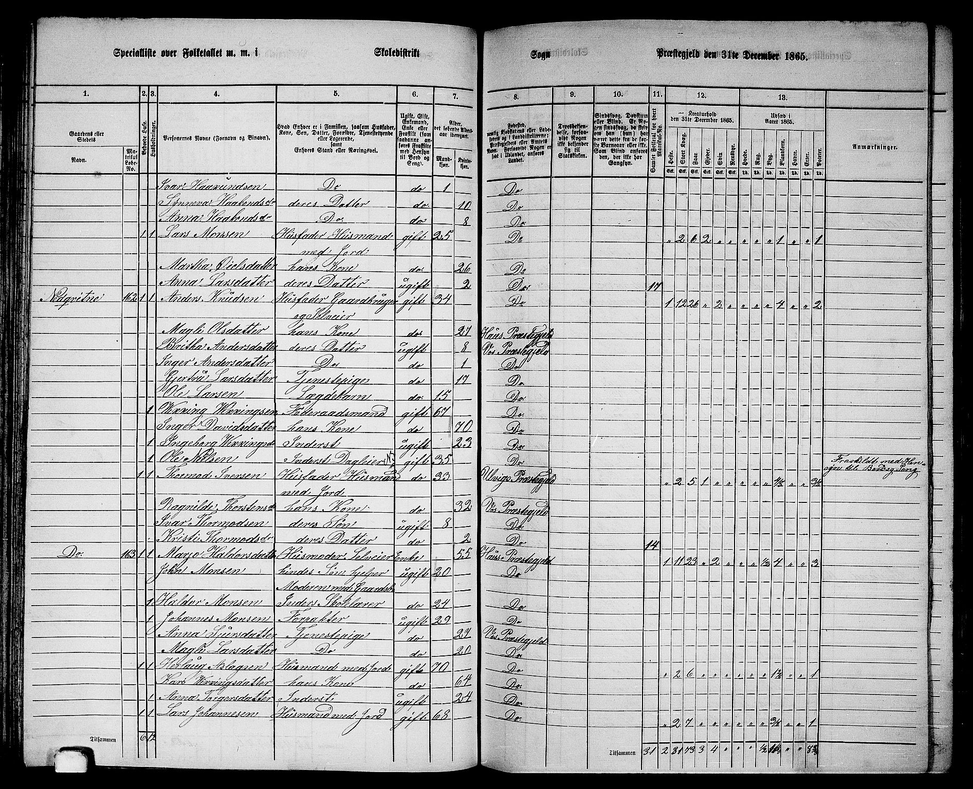 RA, 1865 census for Voss, 1865, p. 96