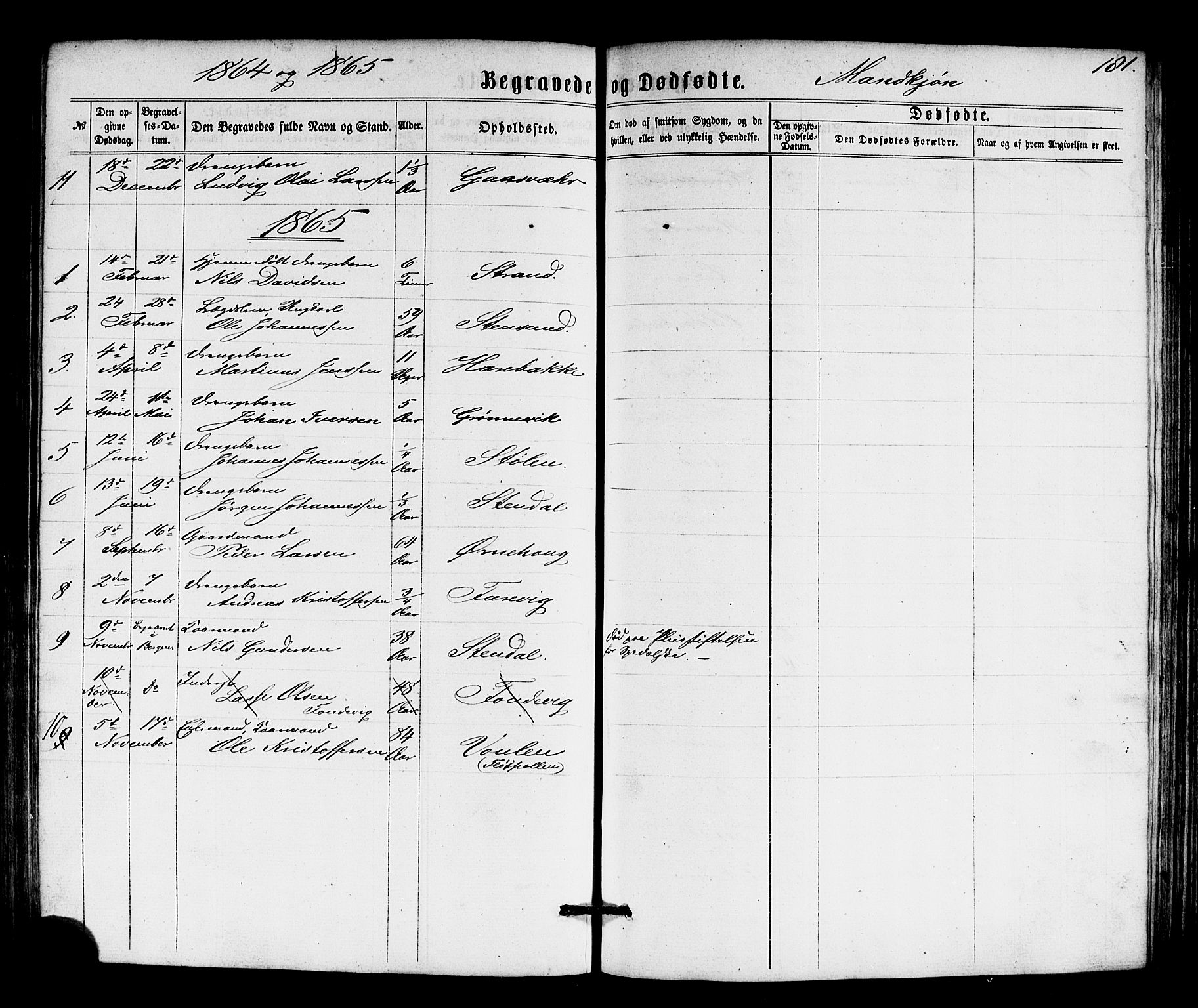 Solund sokneprestembete, SAB/A-81401: Parish register (copy) no. A 1, 1860-1893, p. 181