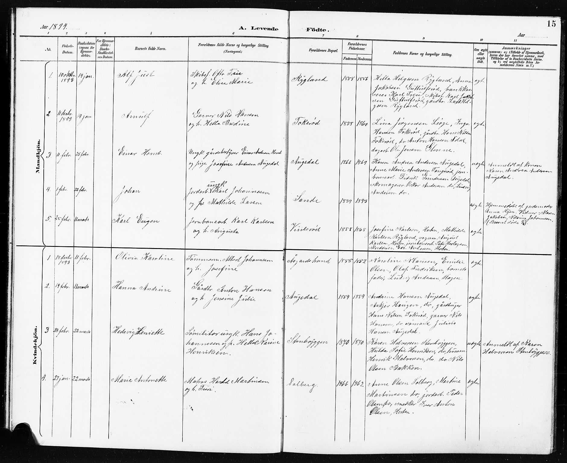 Borre kirkebøker, SAKO/A-338/G/Ga/L0004: Parish register (copy) no. I 4, 1892-1913, p. 15