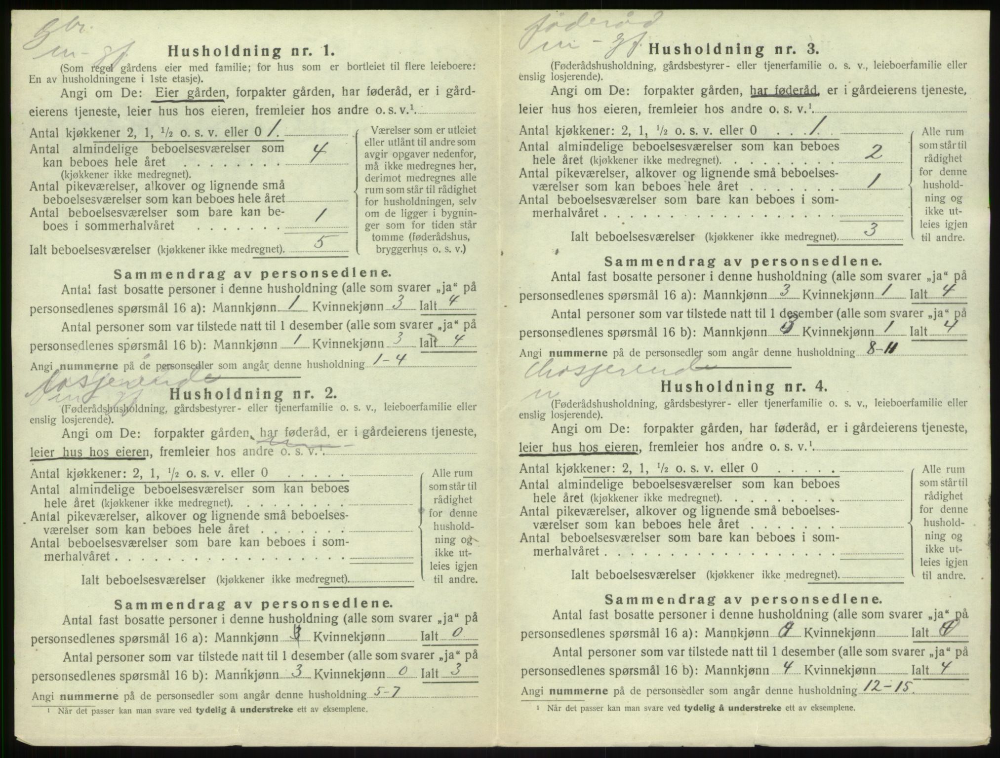 SAB, 1920 census for Sogndal, 1920, p. 385