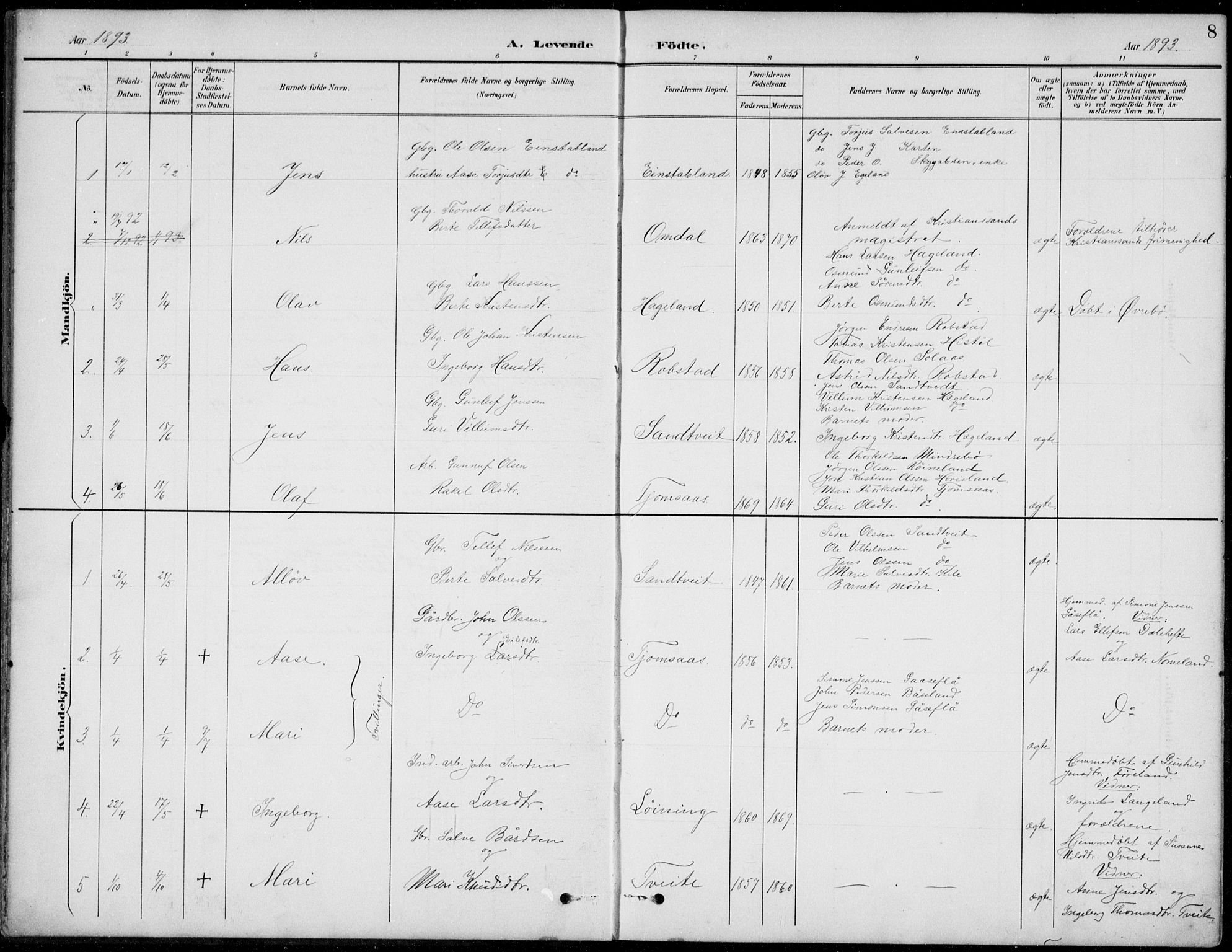 Vennesla sokneprestkontor, AV/SAK-1111-0045/Fb/Fba/L0003: Parish register (copy) no. B 3, 1890-1919, p. 8