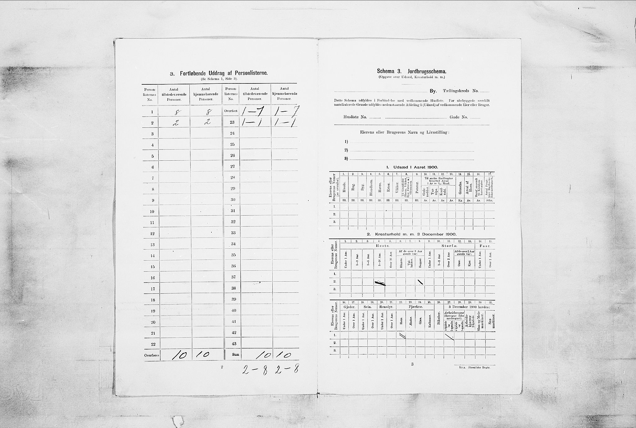 SAKO, 1900 census for Skien, 1900, p. 3744