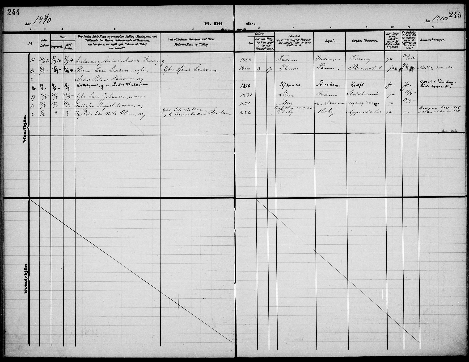 Sem kirkebøker, AV/SAKO-A-5/F/Fa/L0012: Parish register (official) no. I 12, 1905-1915, p. 244-245