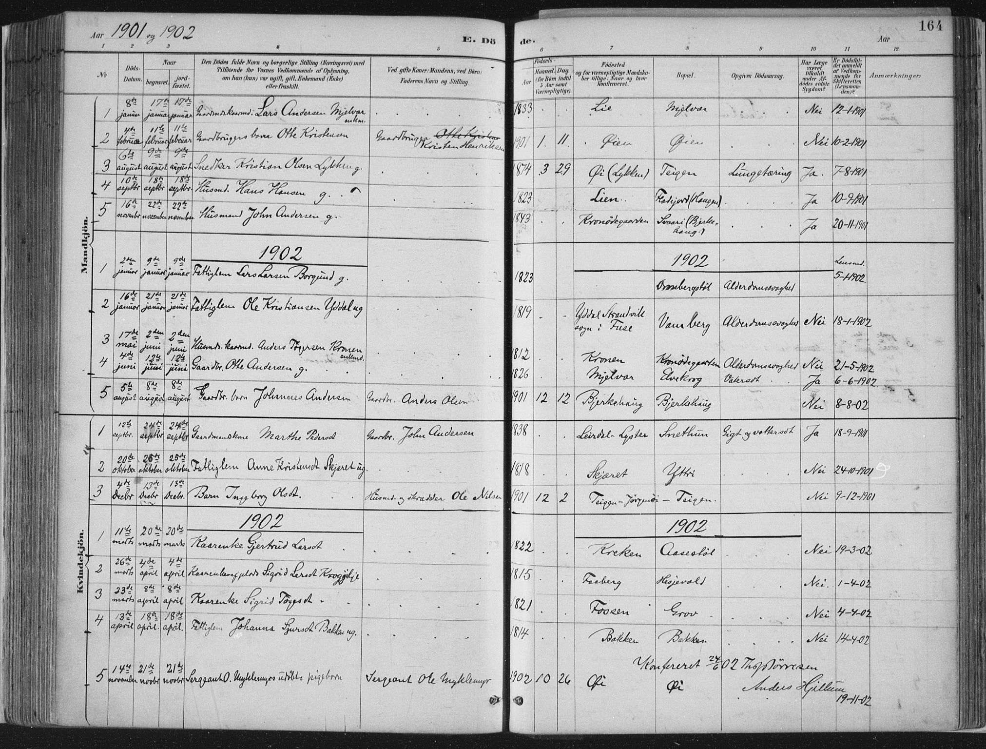 Jostedal sokneprestembete, SAB/A-80601/H/Haa/Haab/L0001: Parish register (official) no. B 1, 1887-1914, p. 164