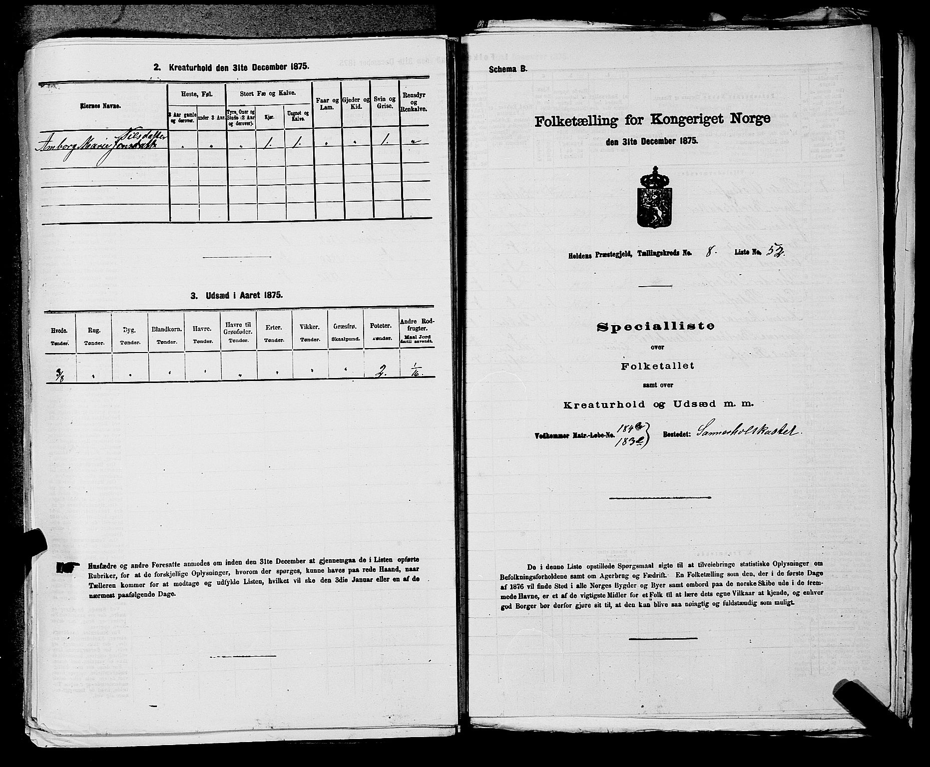 SAKO, 1875 census for 0819P Holla, 1875, p. 1068