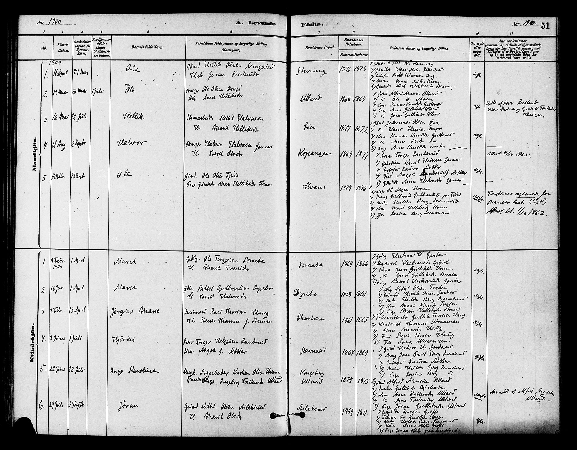 Flesberg kirkebøker, AV/SAKO-A-18/F/Fb/L0001: Parish register (official) no. II 1, 1879-1907, p. 51