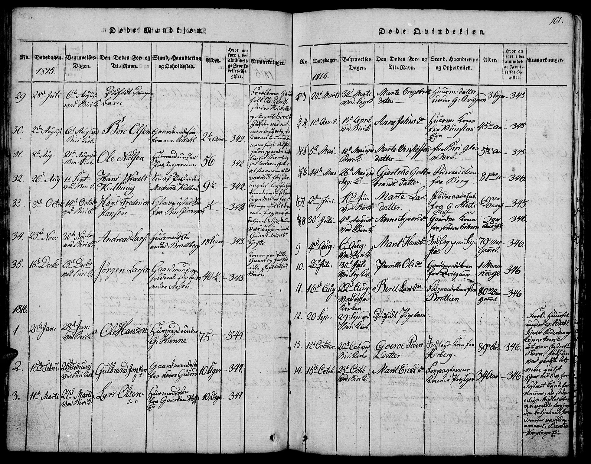 Biri prestekontor, SAH/PREST-096/H/Ha/Hab/L0001: Parish register (copy) no. 1, 1814-1828, p. 101