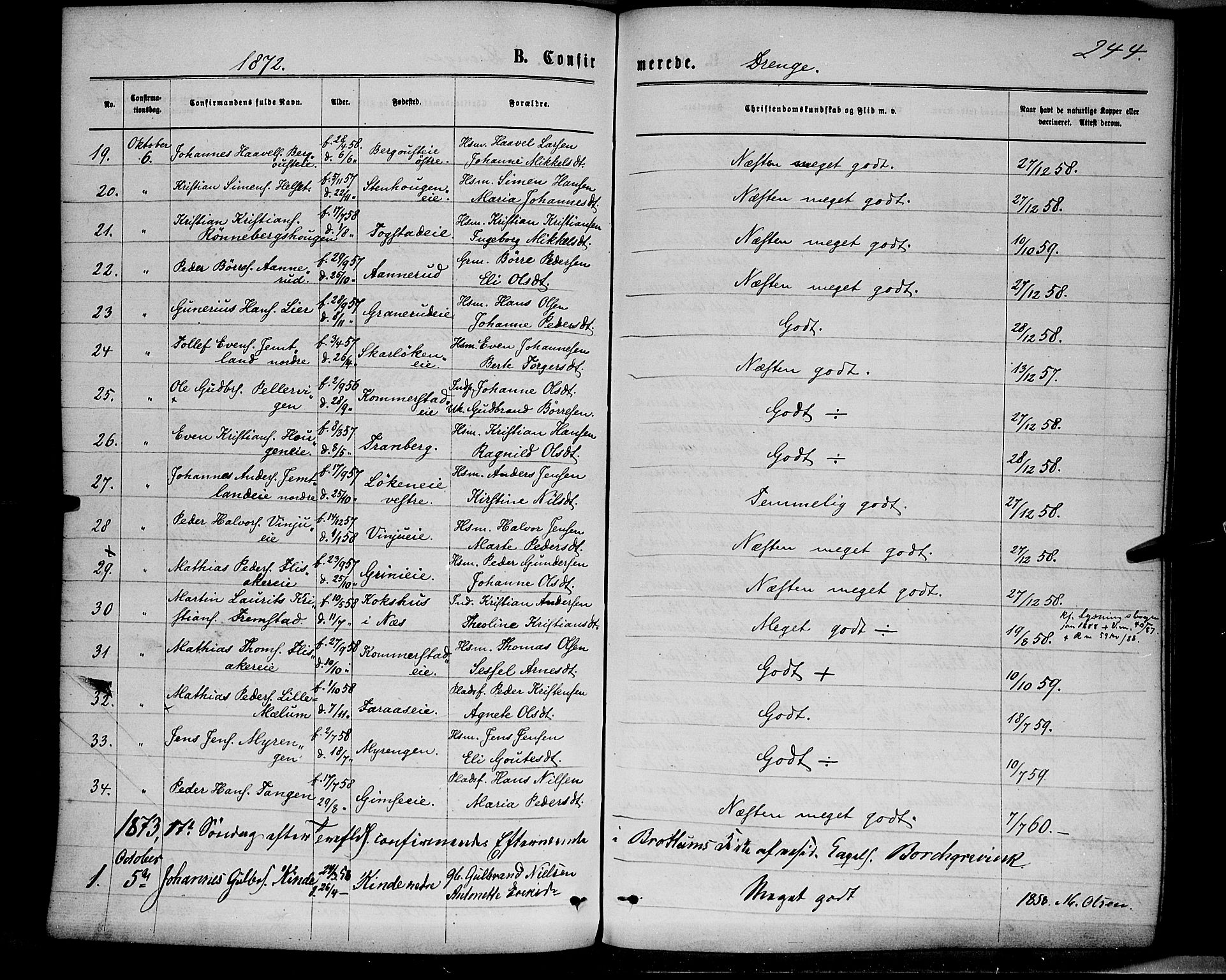 Ringsaker prestekontor, SAH/PREST-014/K/Ka/L0011: Parish register (official) no. 11, 1870-1878, p. 244