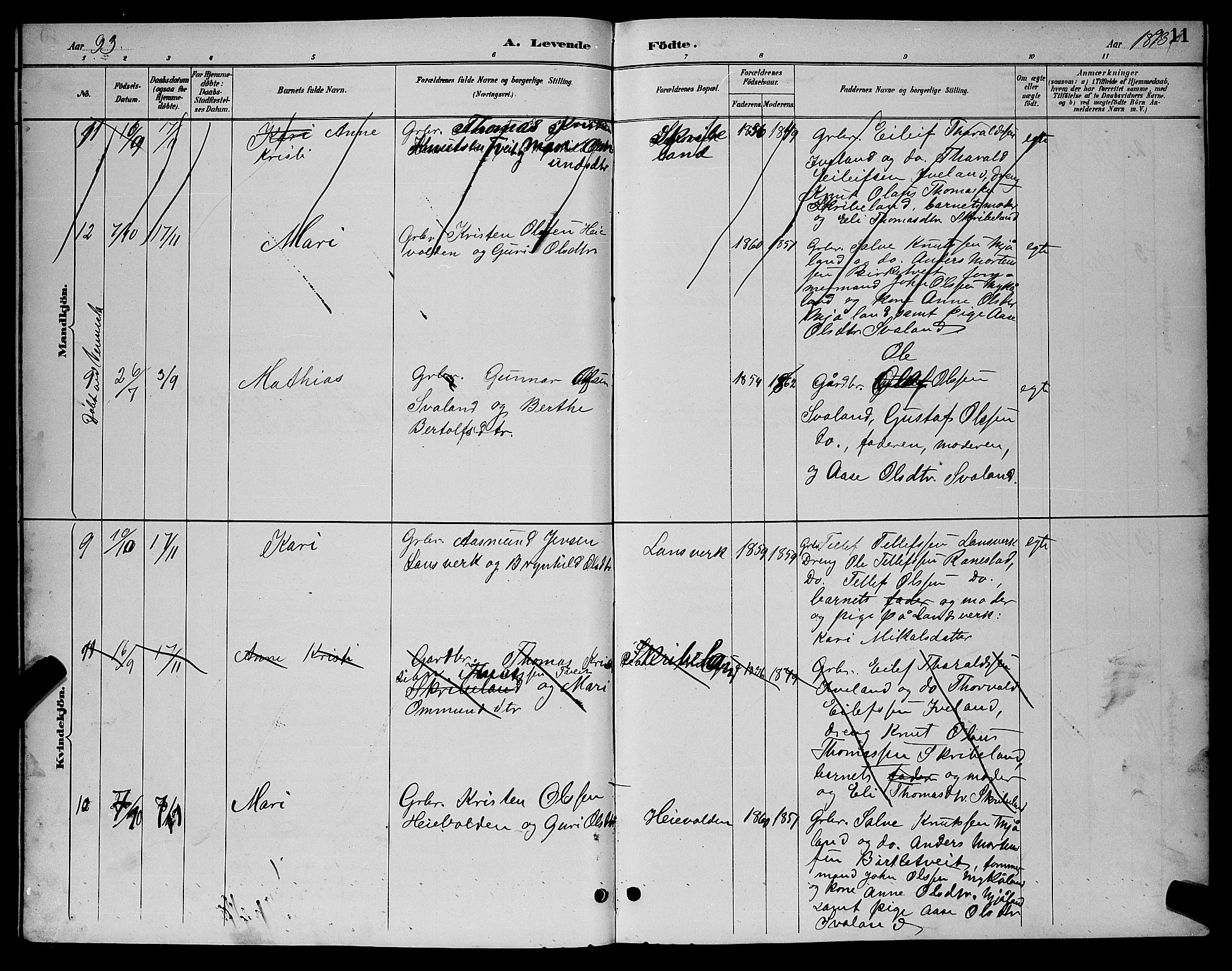 Evje sokneprestkontor, AV/SAK-1111-0008/F/Fb/Fbc/L0004: Parish register (copy) no. B 4, 1890-1900, p. 11