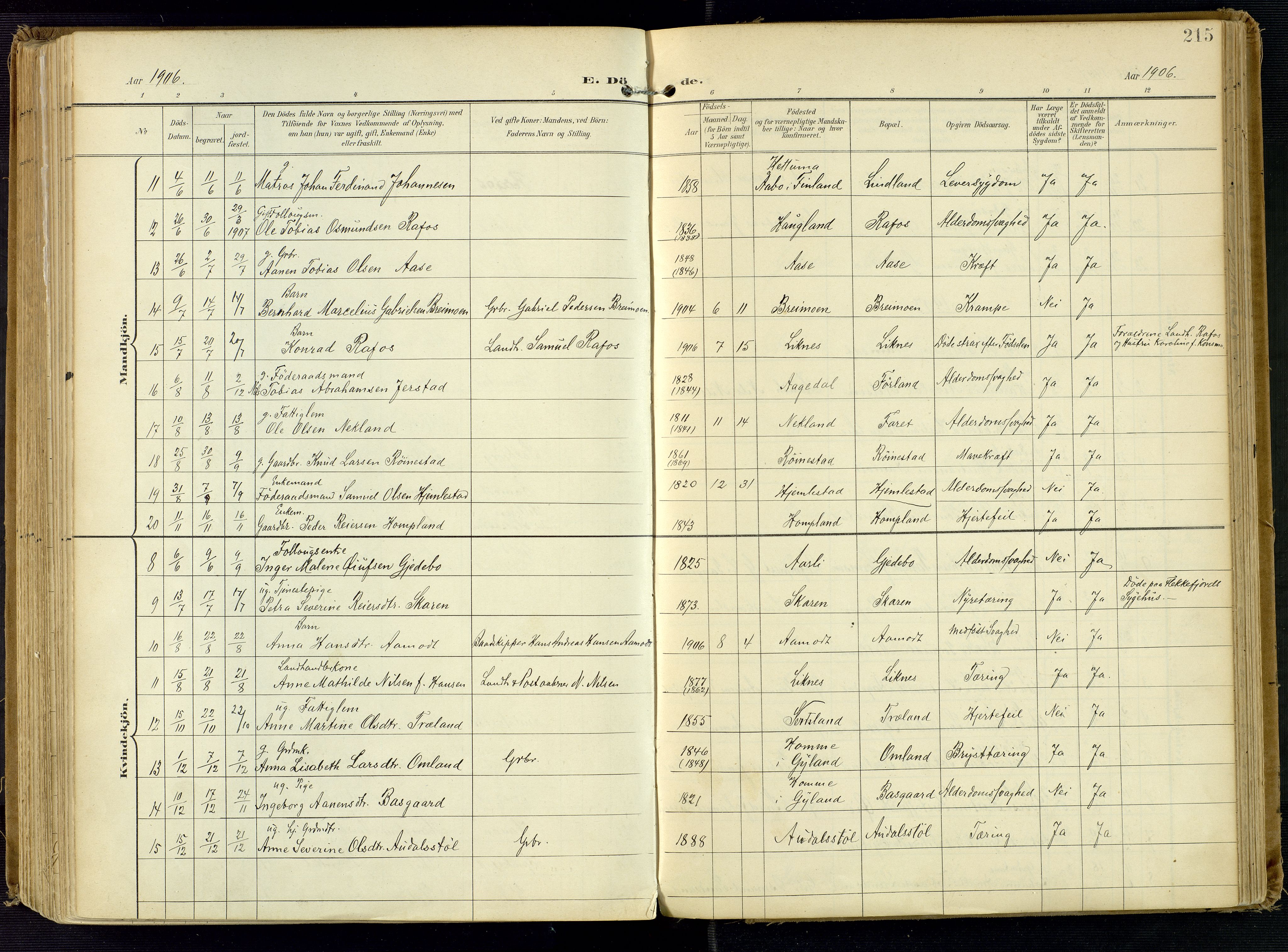 Kvinesdal sokneprestkontor, AV/SAK-1111-0026/F/Fa/Fab/L0009: Parish register (official) no. A 9, 1898-1915, p. 215