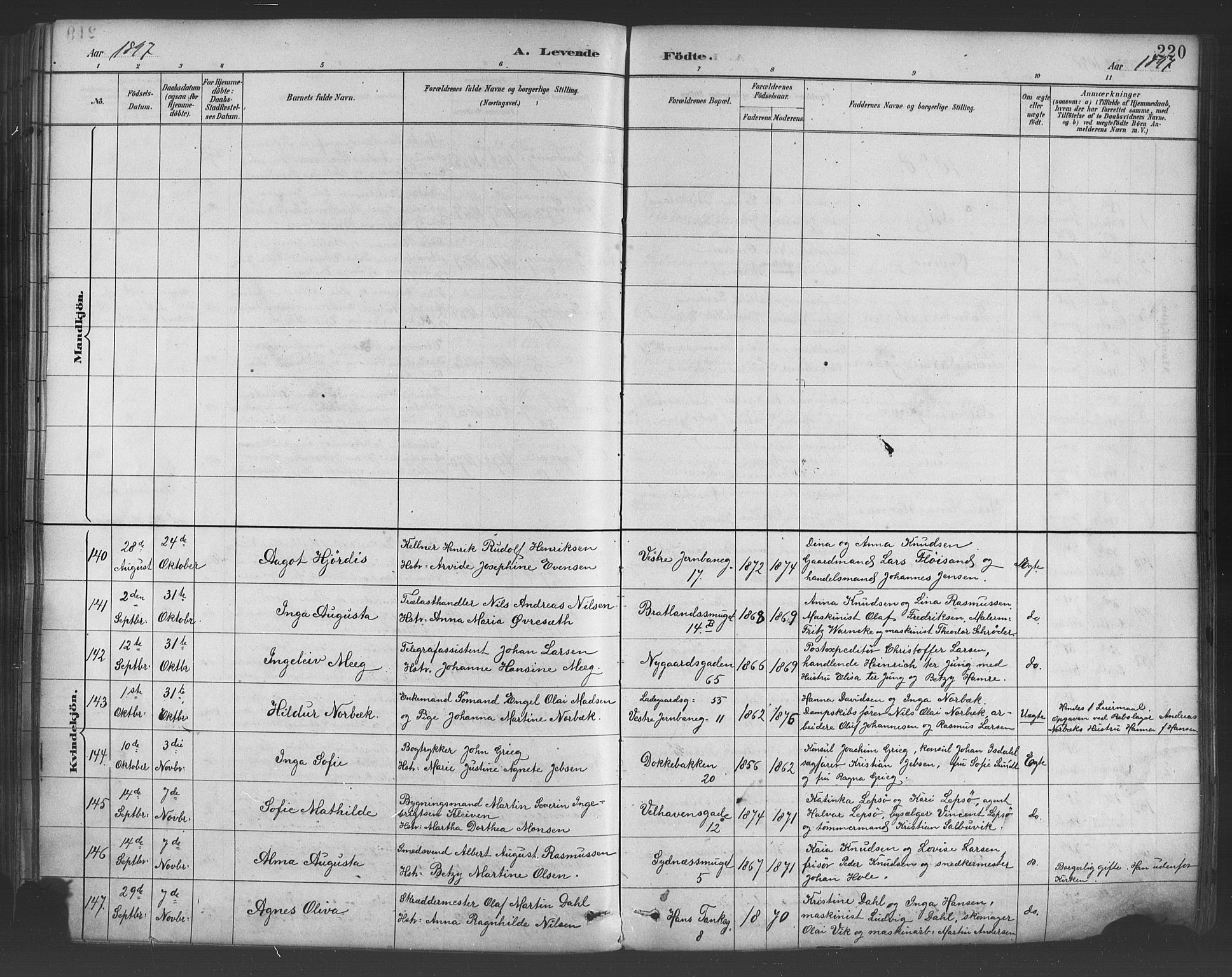Johanneskirken sokneprestembete, SAB/A-76001/H/Hab: Parish register (copy) no. A 1, 1885-1900, p. 220