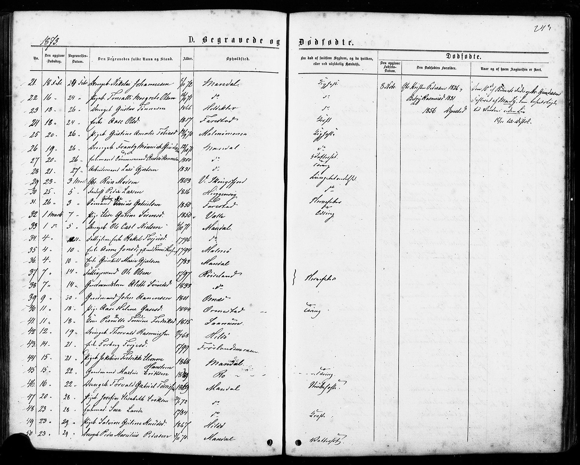 Mandal sokneprestkontor, SAK/1111-0030/F/Fa/Faa/L0015: Parish register (official) no. A 15, 1873-1879, p. 243