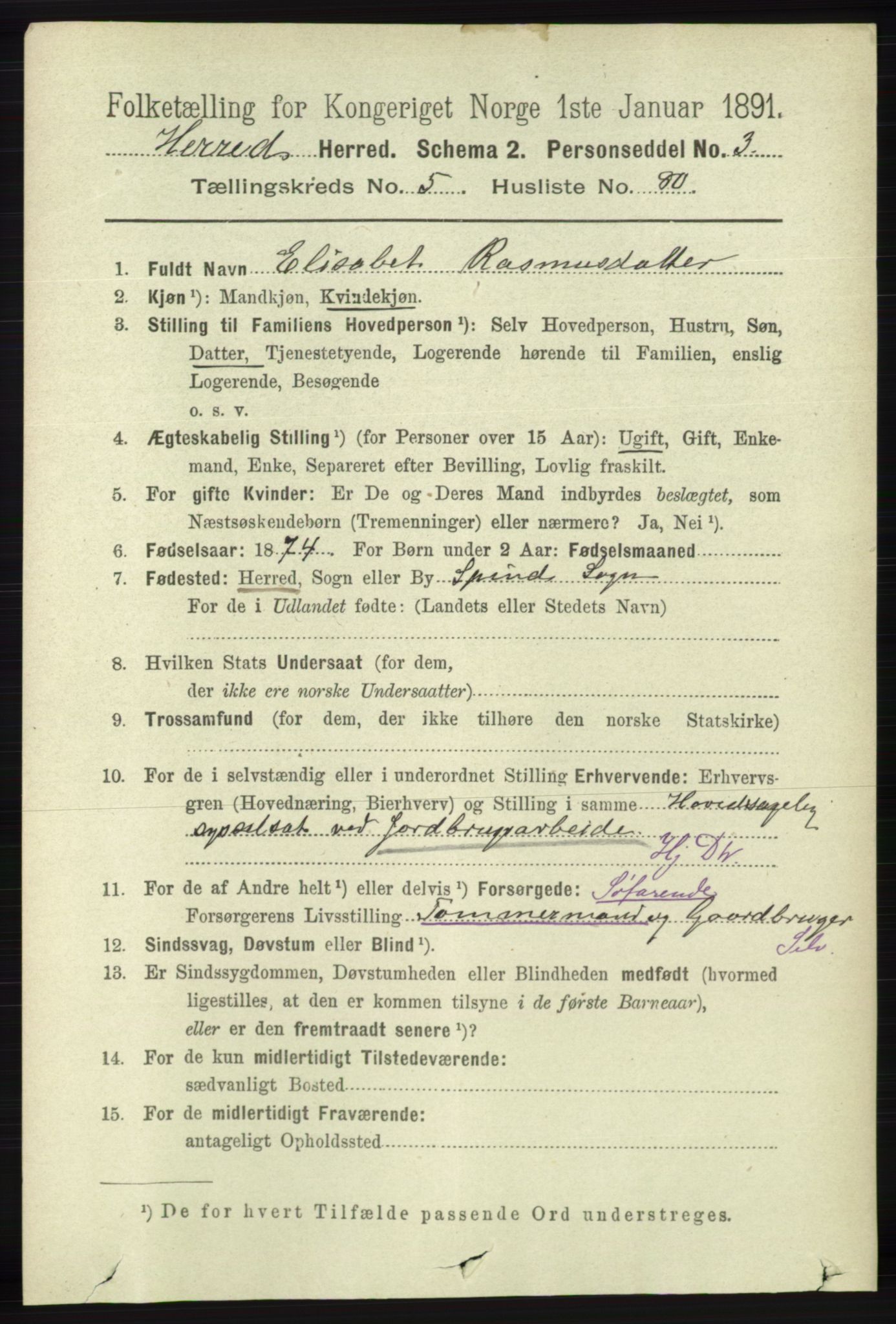 RA, 1891 census for 1039 Herad, 1891, p. 2226