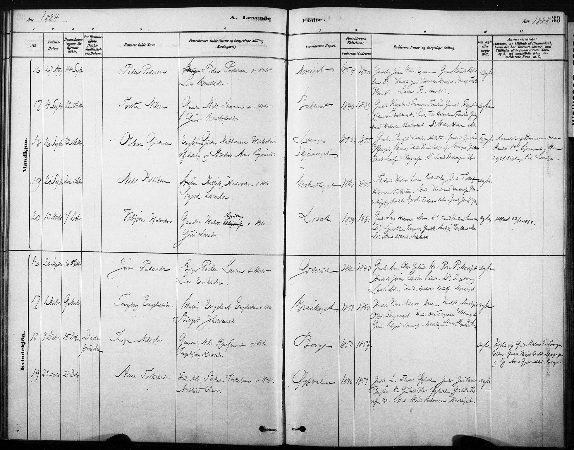 Nore kirkebøker, SAKO/A-238/F/Fb/L0001: Parish register (official) no. II 1, 1878-1886, p. 33
