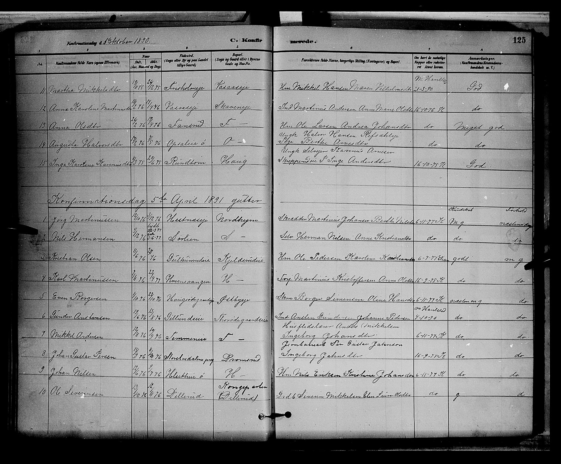 Stange prestekontor, SAH/PREST-002/L/L0008: Parish register (copy) no. 8, 1882-1895, p. 125