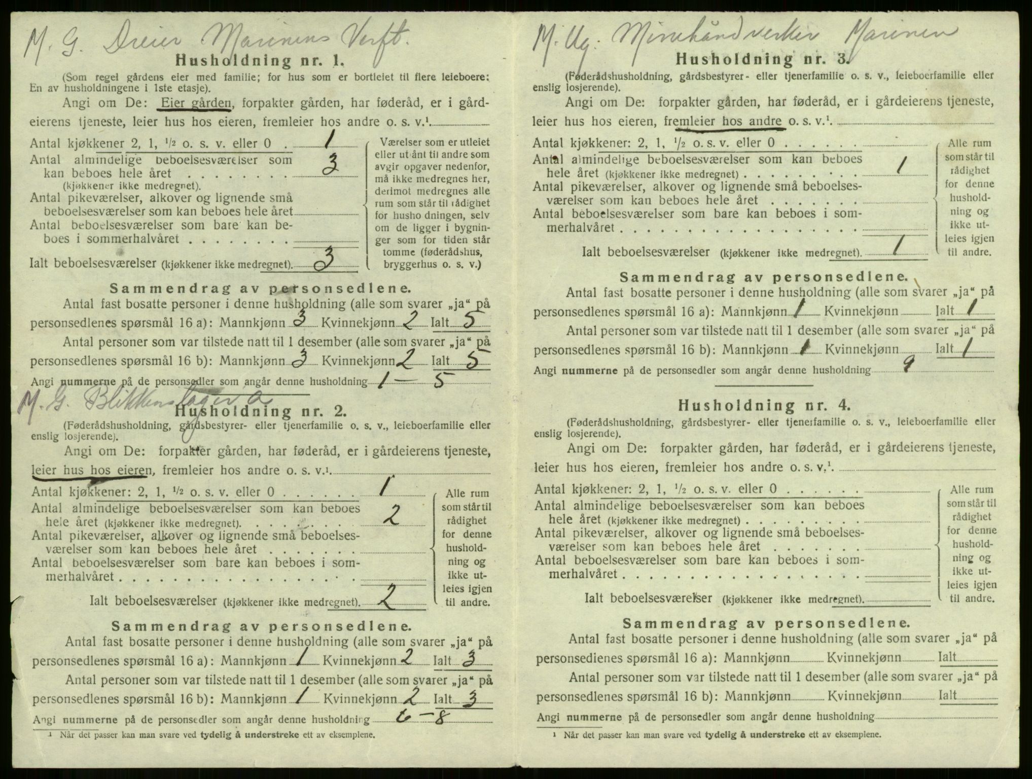 SAKO, 1920 census for Borre, 1920, p. 33