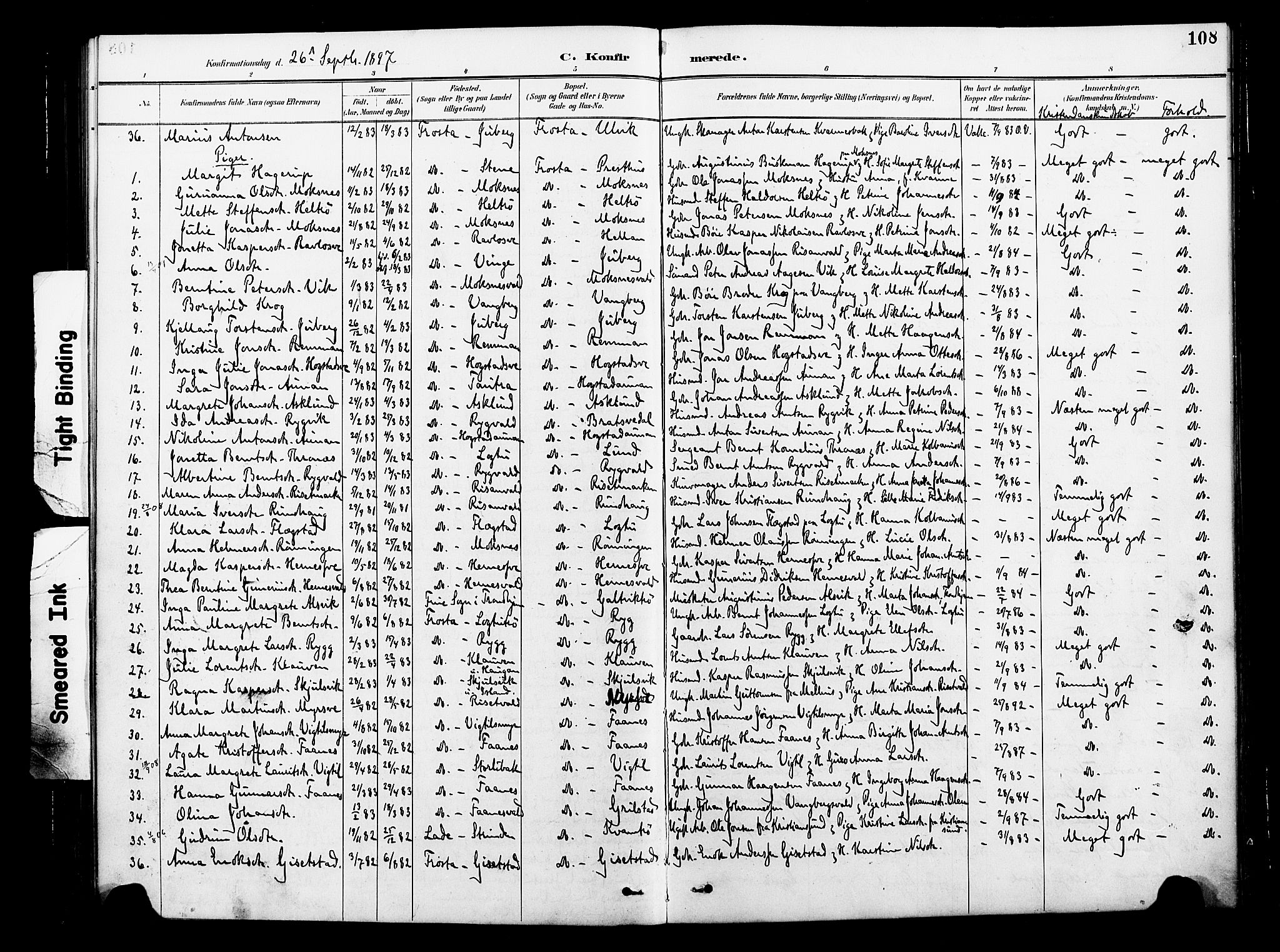 Ministerialprotokoller, klokkerbøker og fødselsregistre - Nord-Trøndelag, SAT/A-1458/713/L0121: Parish register (official) no. 713A10, 1888-1898, p. 108