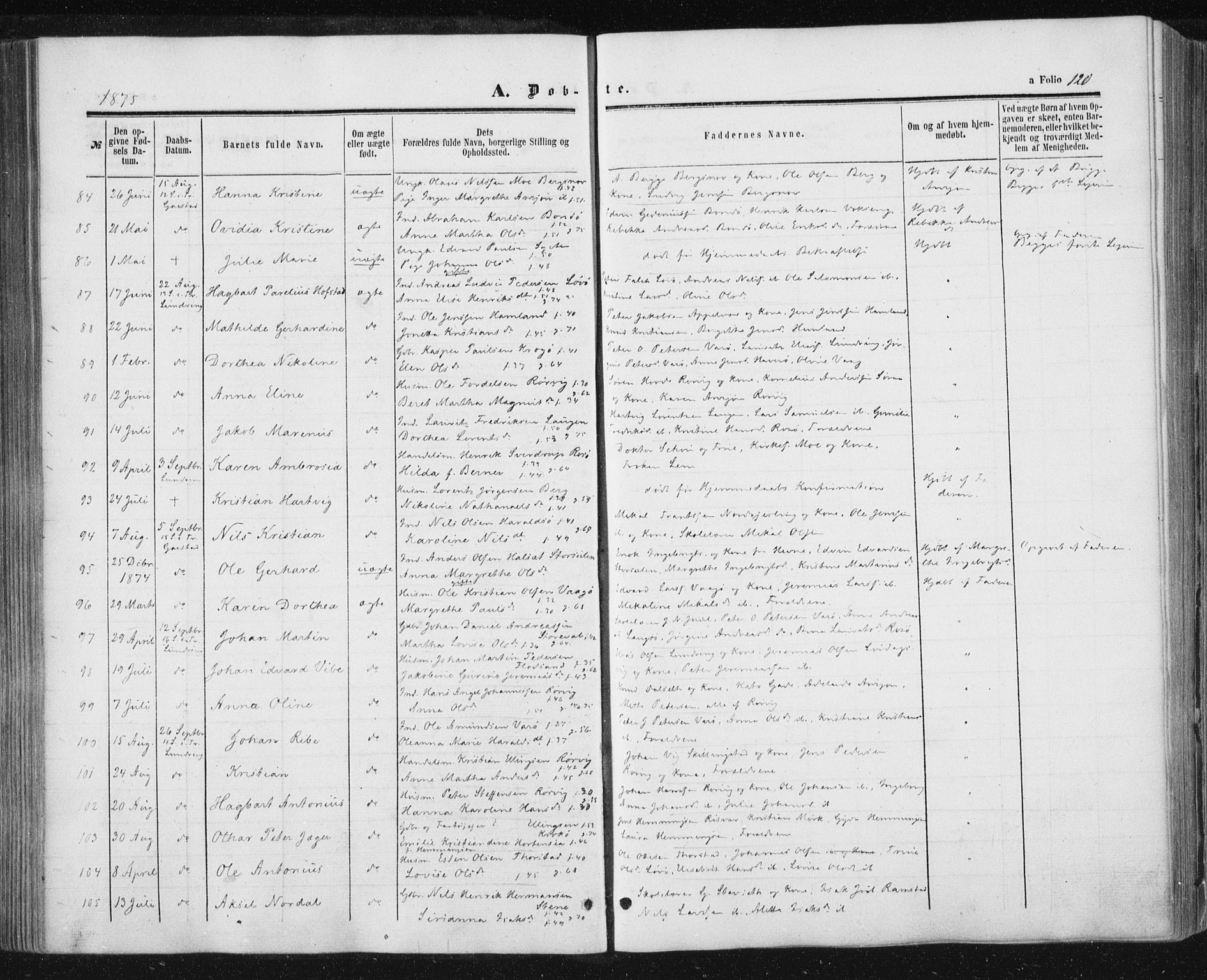 Ministerialprotokoller, klokkerbøker og fødselsregistre - Nord-Trøndelag, AV/SAT-A-1458/784/L0670: Parish register (official) no. 784A05, 1860-1876, p. 120