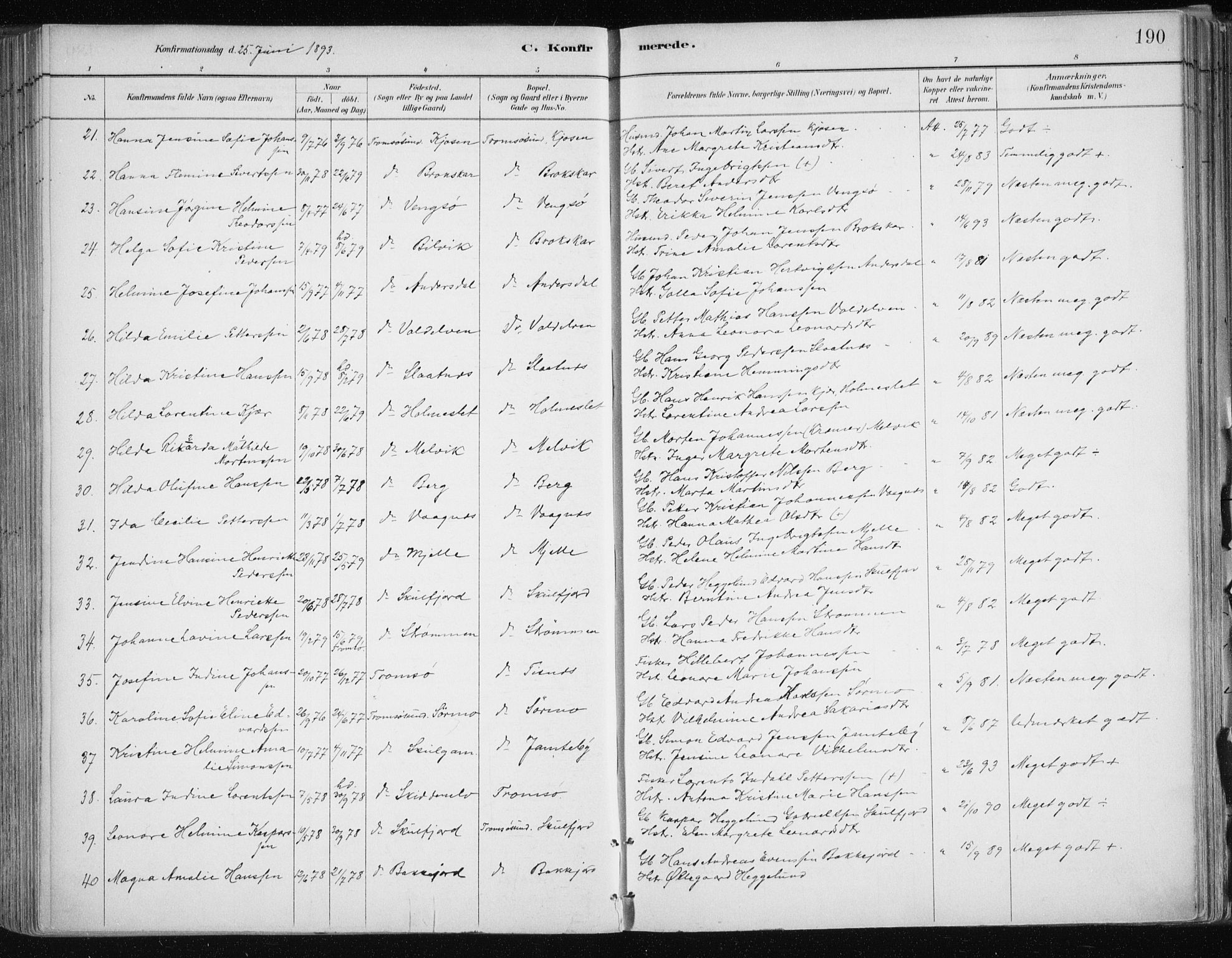 Tromsøysund sokneprestkontor, SATØ/S-1304/G/Ga/L0005kirke: Parish register (official) no. 5, 1888-1896, p. 190