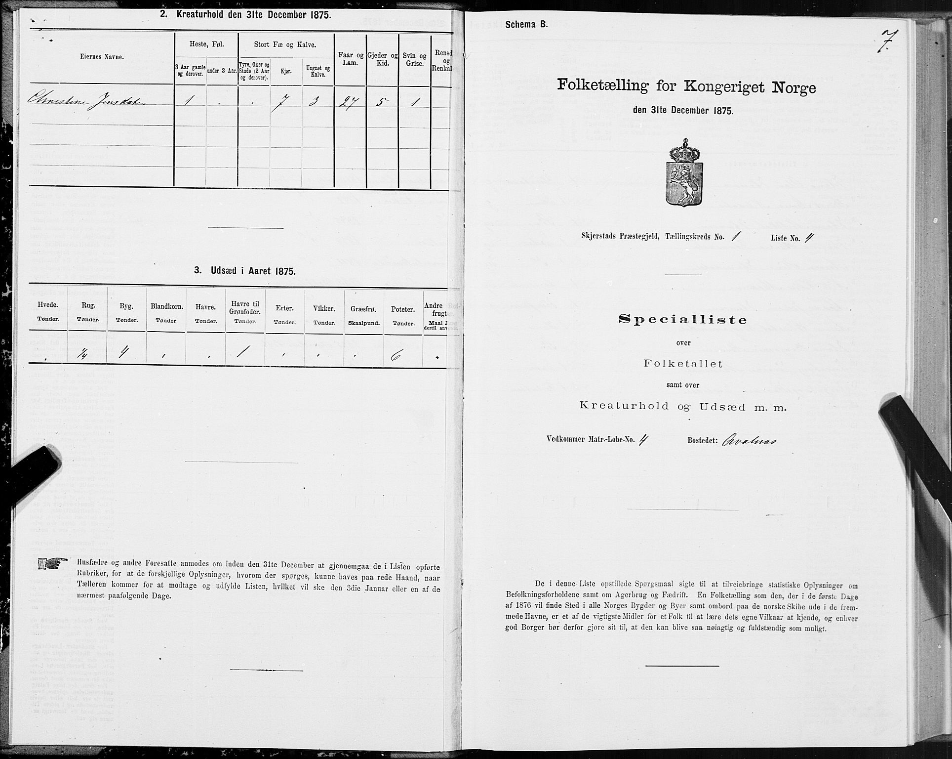 SAT, 1875 census for 1842P Skjerstad, 1875, p. 1007