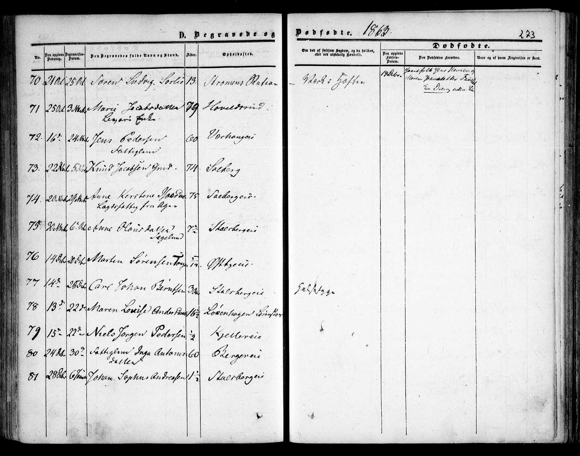 Skedsmo prestekontor Kirkebøker, AV/SAO-A-10033a/F/Fa/L0010: Parish register (official) no. I 10, 1854-1865, p. 273