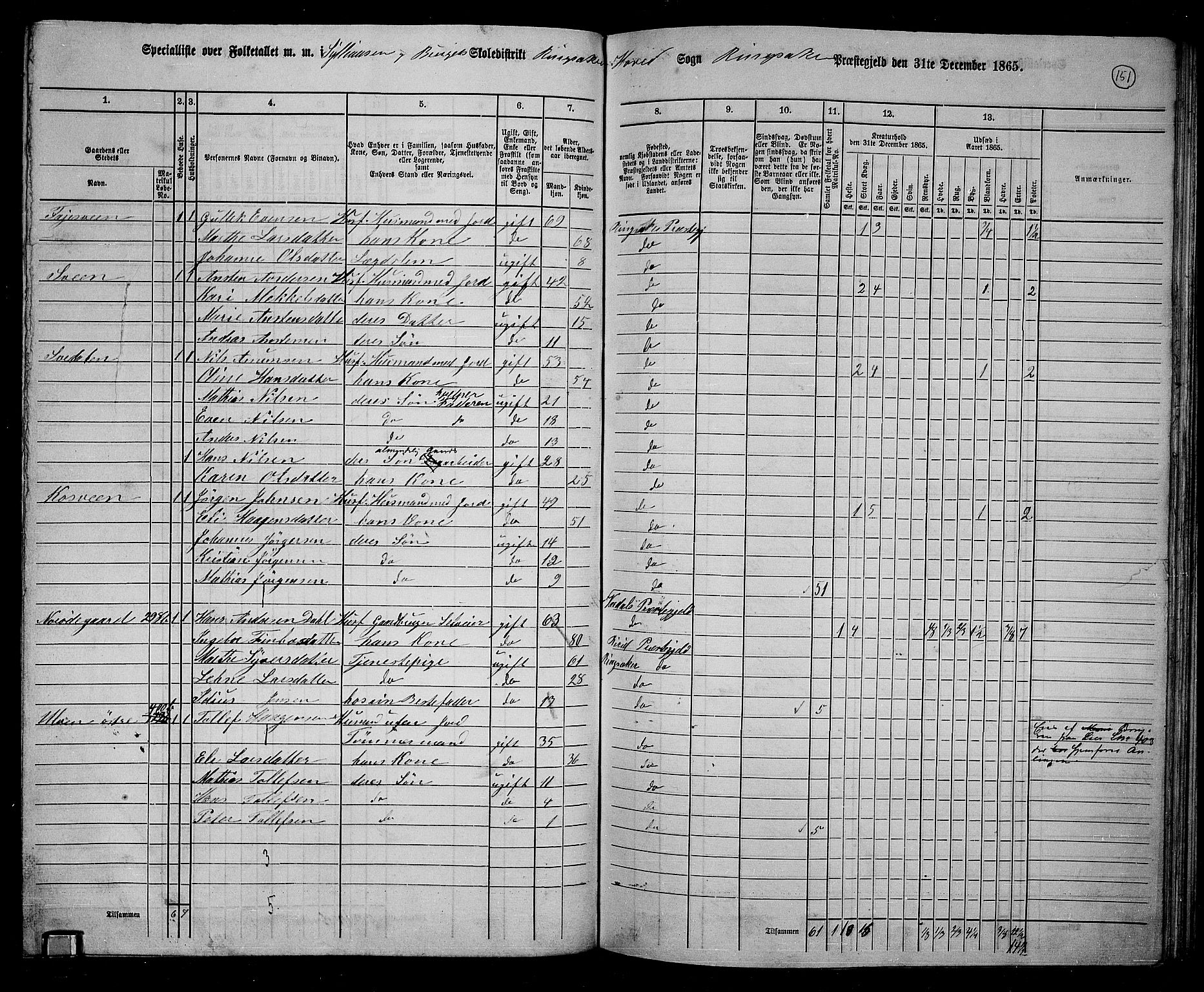 RA, 1865 census for Ringsaker, 1865, p. 395