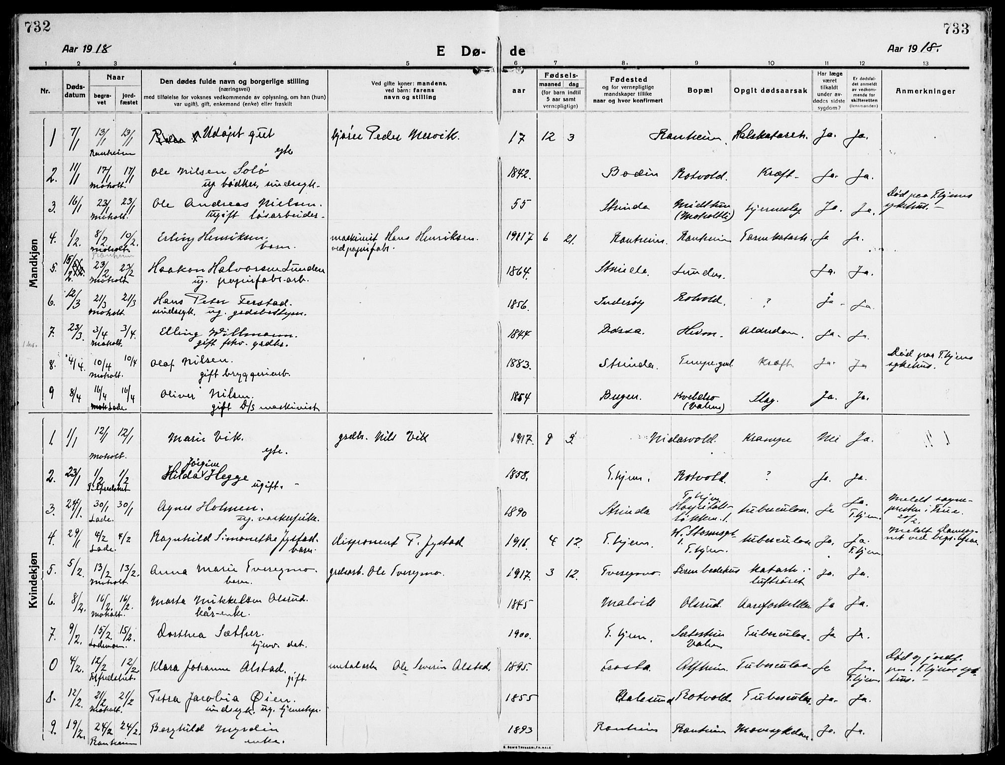 Ministerialprotokoller, klokkerbøker og fødselsregistre - Sør-Trøndelag, SAT/A-1456/607/L0321: Parish register (official) no. 607A05, 1916-1935, p. 732-733