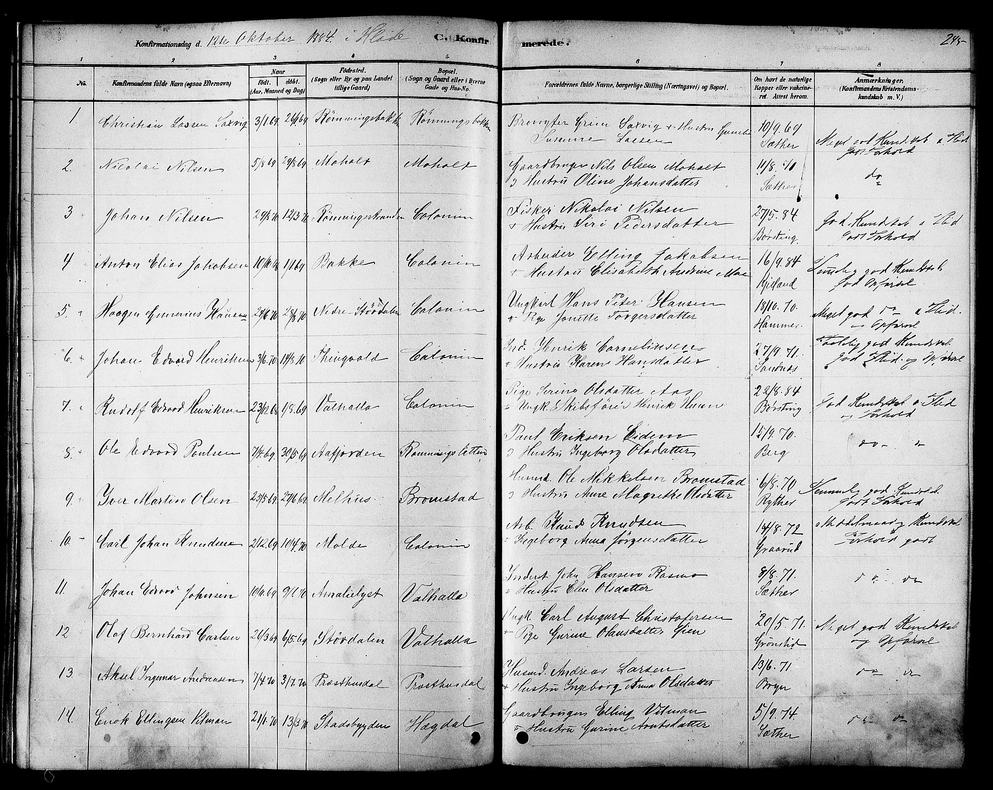 Ministerialprotokoller, klokkerbøker og fødselsregistre - Sør-Trøndelag, AV/SAT-A-1456/606/L0294: Parish register (official) no. 606A09, 1878-1886, p. 245