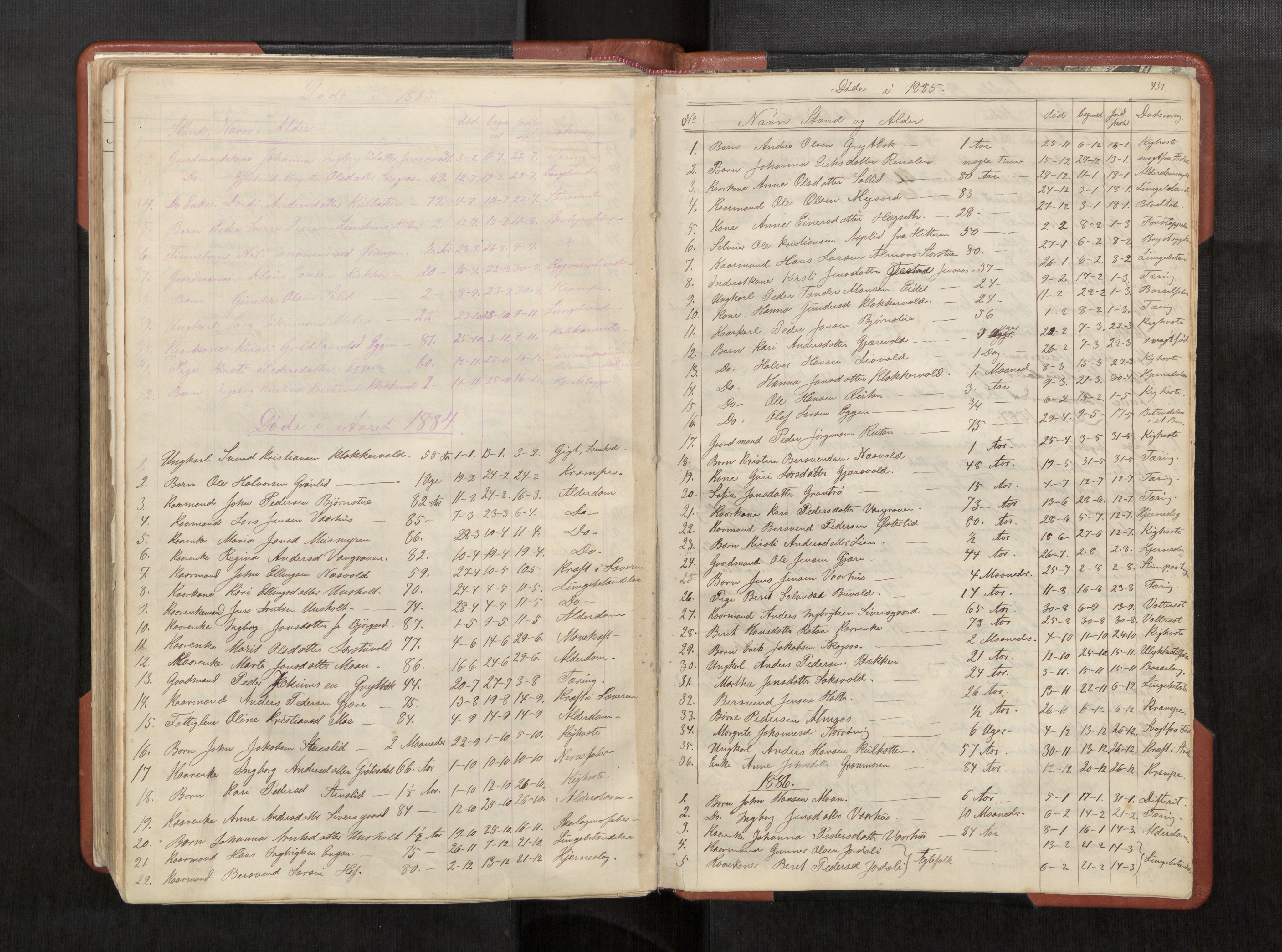 Ministerialprotokoller, klokkerbøker og fødselsregistre - Sør-Trøndelag, SAT/A-1456/686/L0985: Parish register (copy) no. 686C01, 1871-1933, p. 437