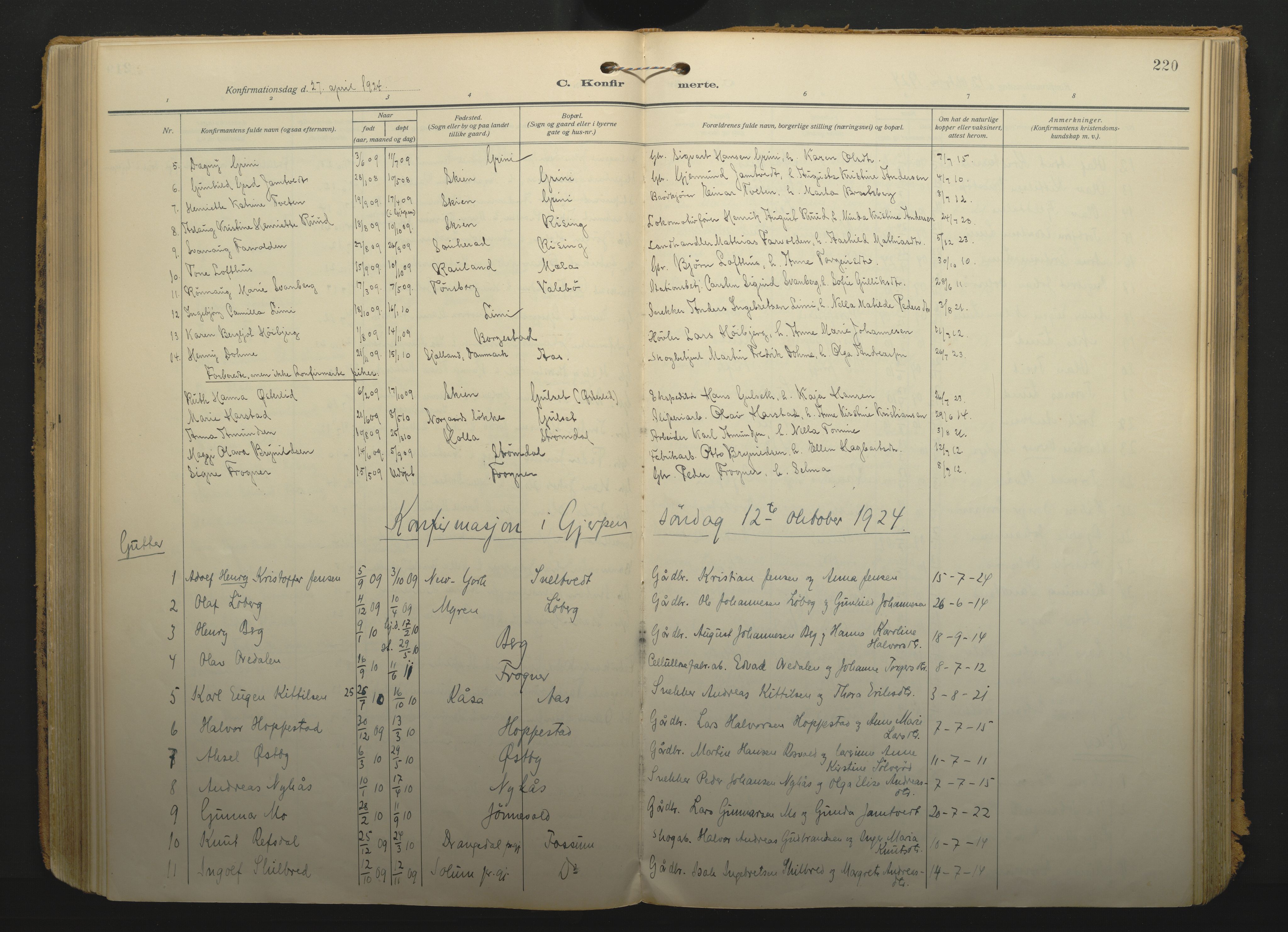 Gjerpen kirkebøker, SAKO/A-265/F/Fa/L0013: Parish register (official) no. I 13, 1914-1924, p. 220