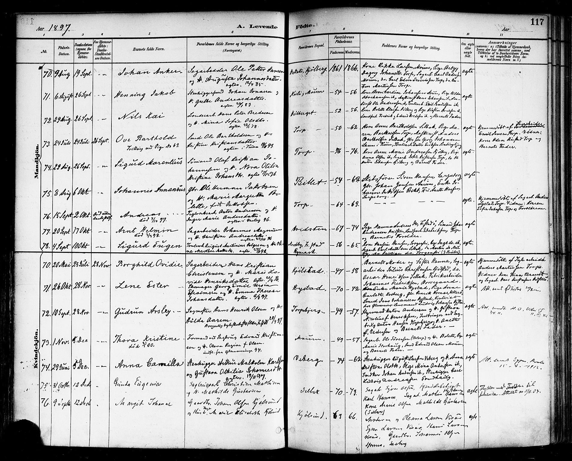 Borge prestekontor Kirkebøker, SAO/A-10903/F/Fa/L0008: Parish register (official) no. I 8A, 1887-1902, p. 117