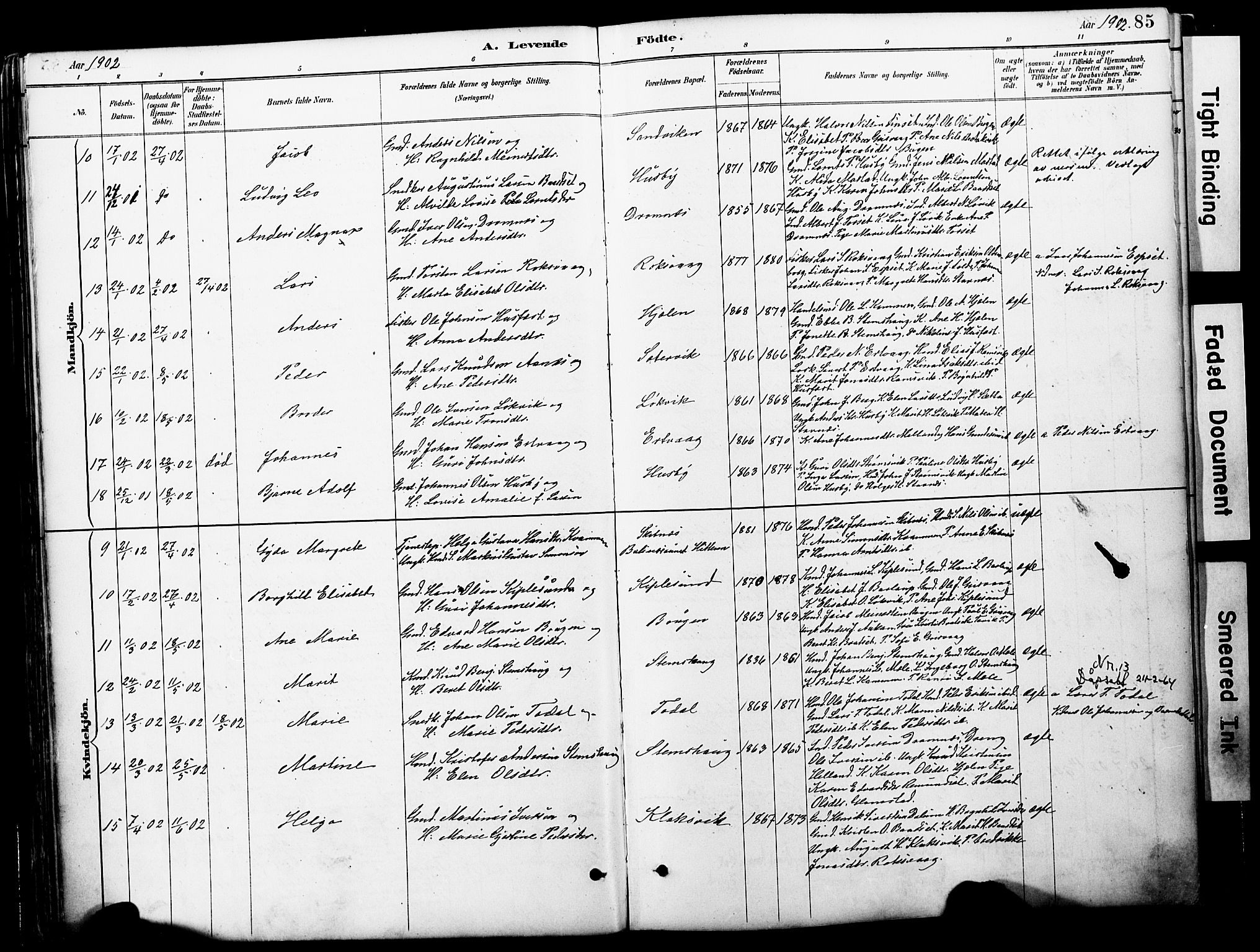 Ministerialprotokoller, klokkerbøker og fødselsregistre - Møre og Romsdal, AV/SAT-A-1454/578/L0907: Parish register (official) no. 578A06, 1887-1904, p. 85