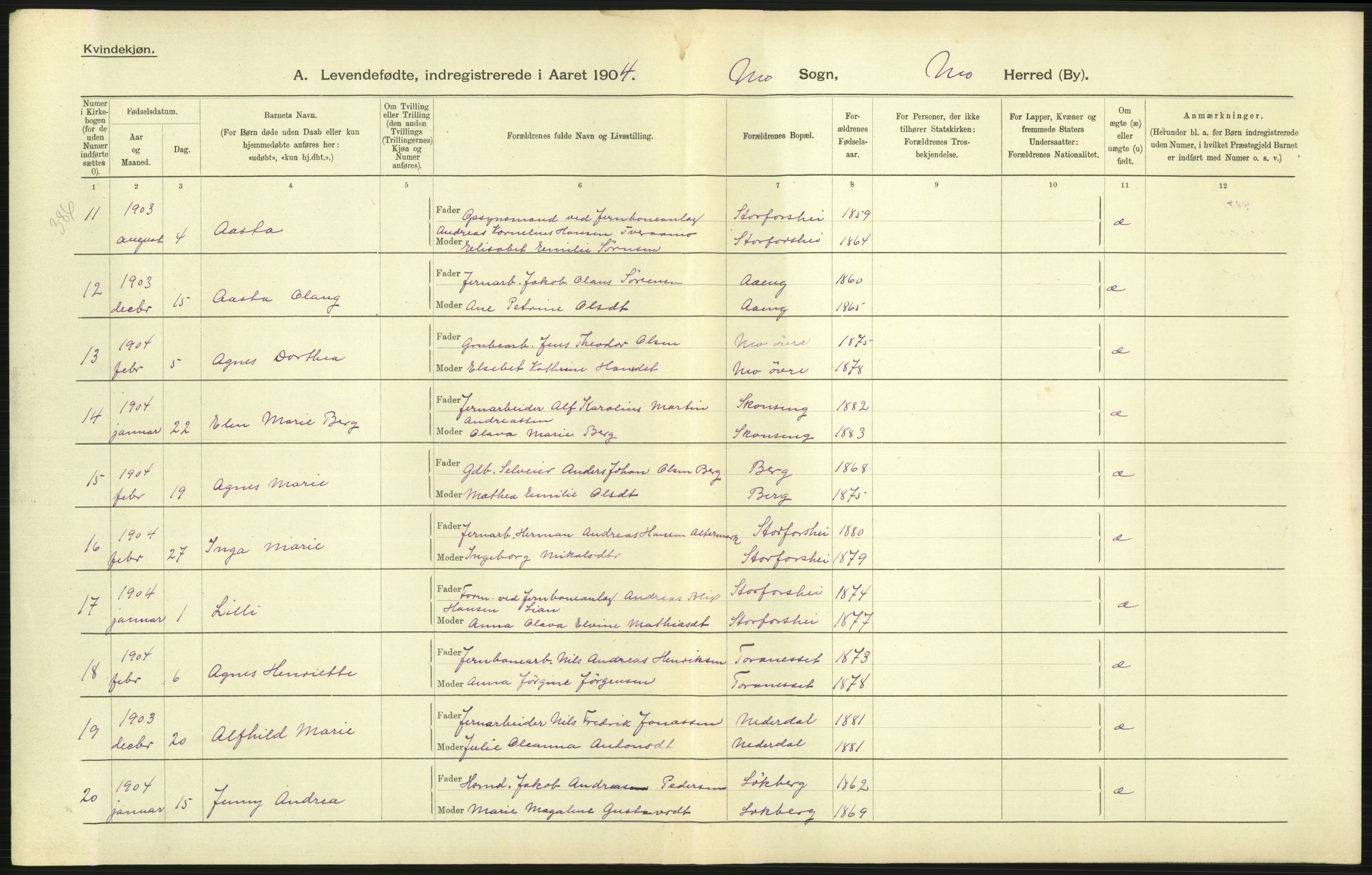 Statistisk sentralbyrå, Sosiodemografiske emner, Befolkning, AV/RA-S-2228/D/Df/Dfa/Dfab/L0020: Nordlands amt: Fødte. Bygder, 1904, p. 13