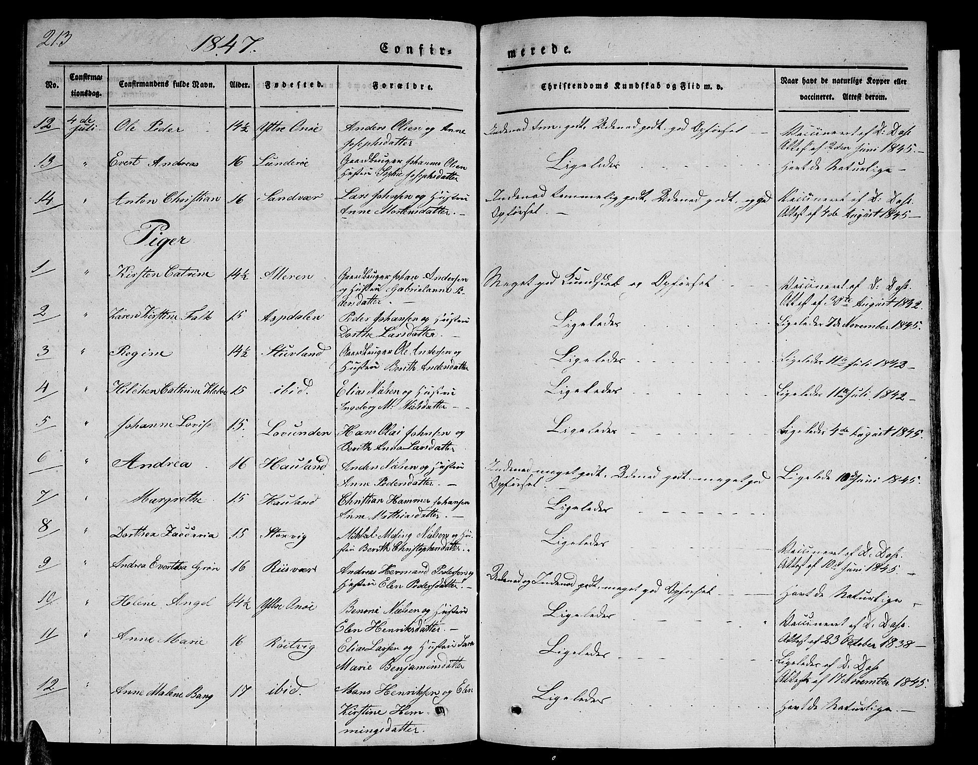 Ministerialprotokoller, klokkerbøker og fødselsregistre - Nordland, AV/SAT-A-1459/839/L0572: Parish register (copy) no. 839C02, 1841-1873, p. 213