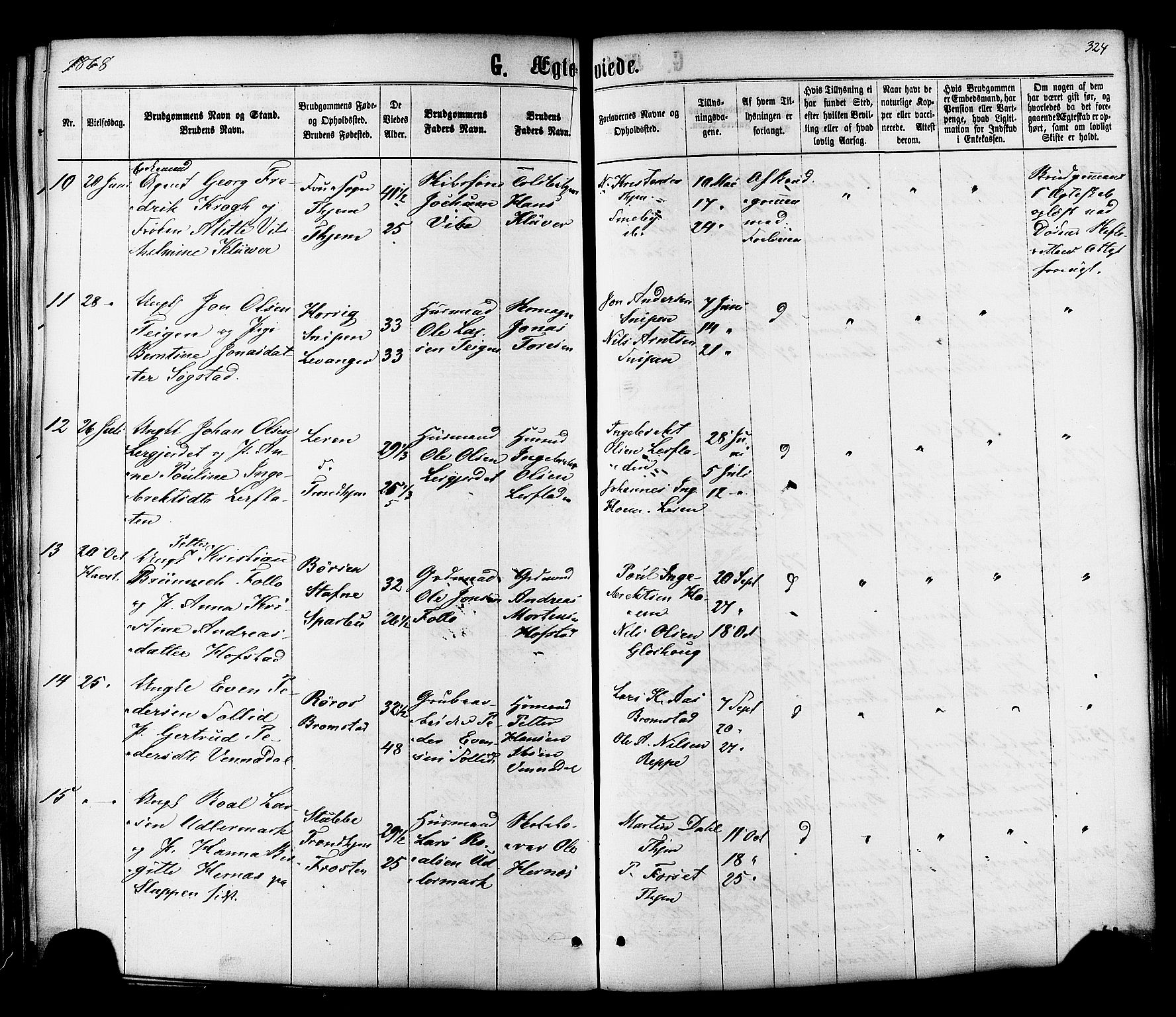Ministerialprotokoller, klokkerbøker og fødselsregistre - Sør-Trøndelag, SAT/A-1456/606/L0293: Parish register (official) no. 606A08, 1866-1877, p. 324