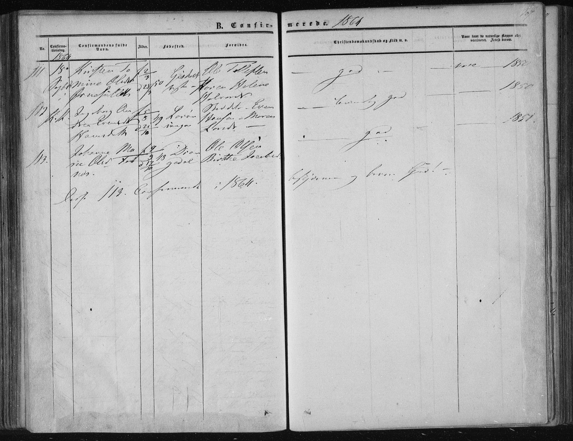 Solum kirkebøker, SAKO/A-306/F/Fa/L0007: Parish register (official) no. I 7, 1856-1864, p. 207