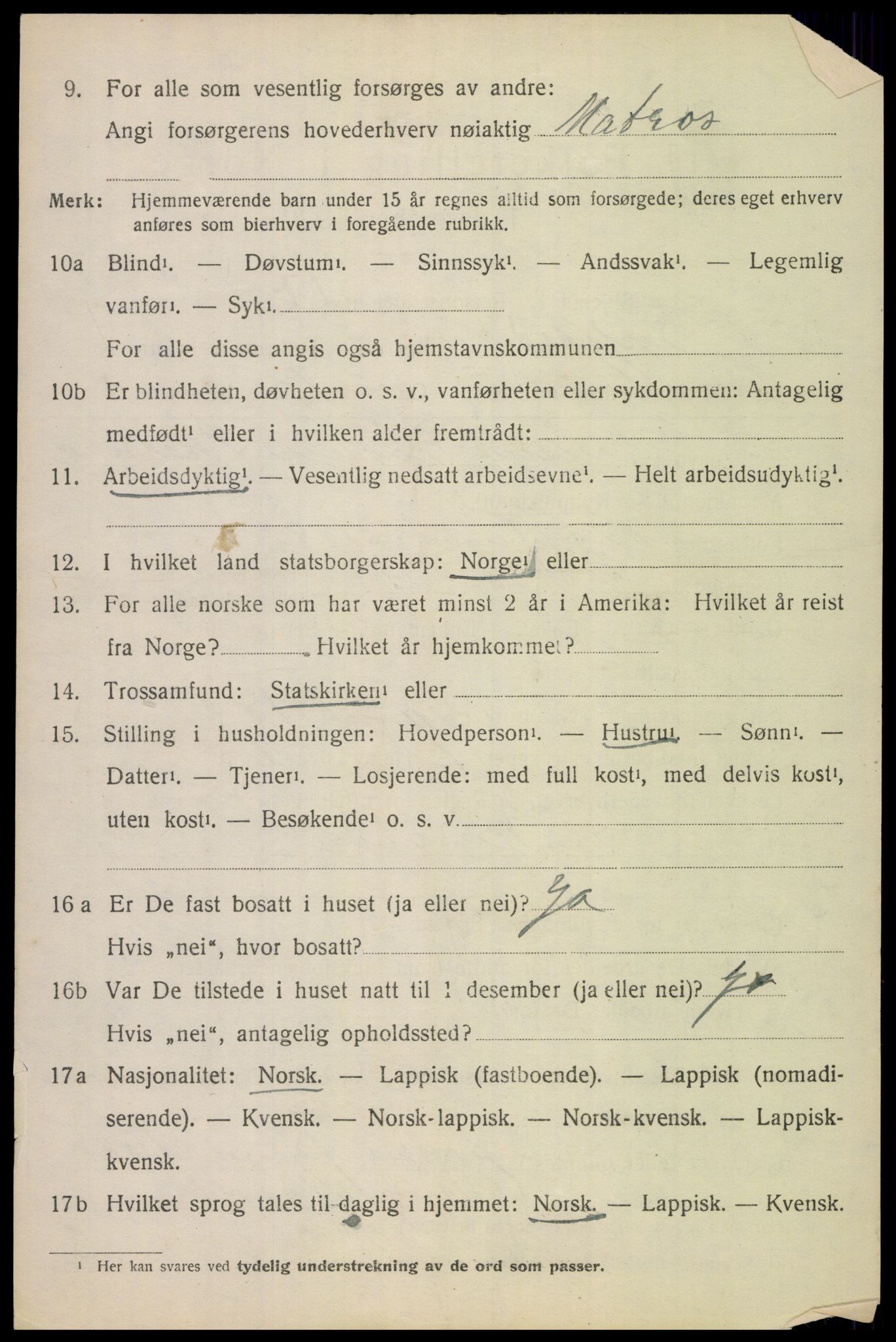 SAT, 1920 census for Tysfjord, 1920, p. 1226