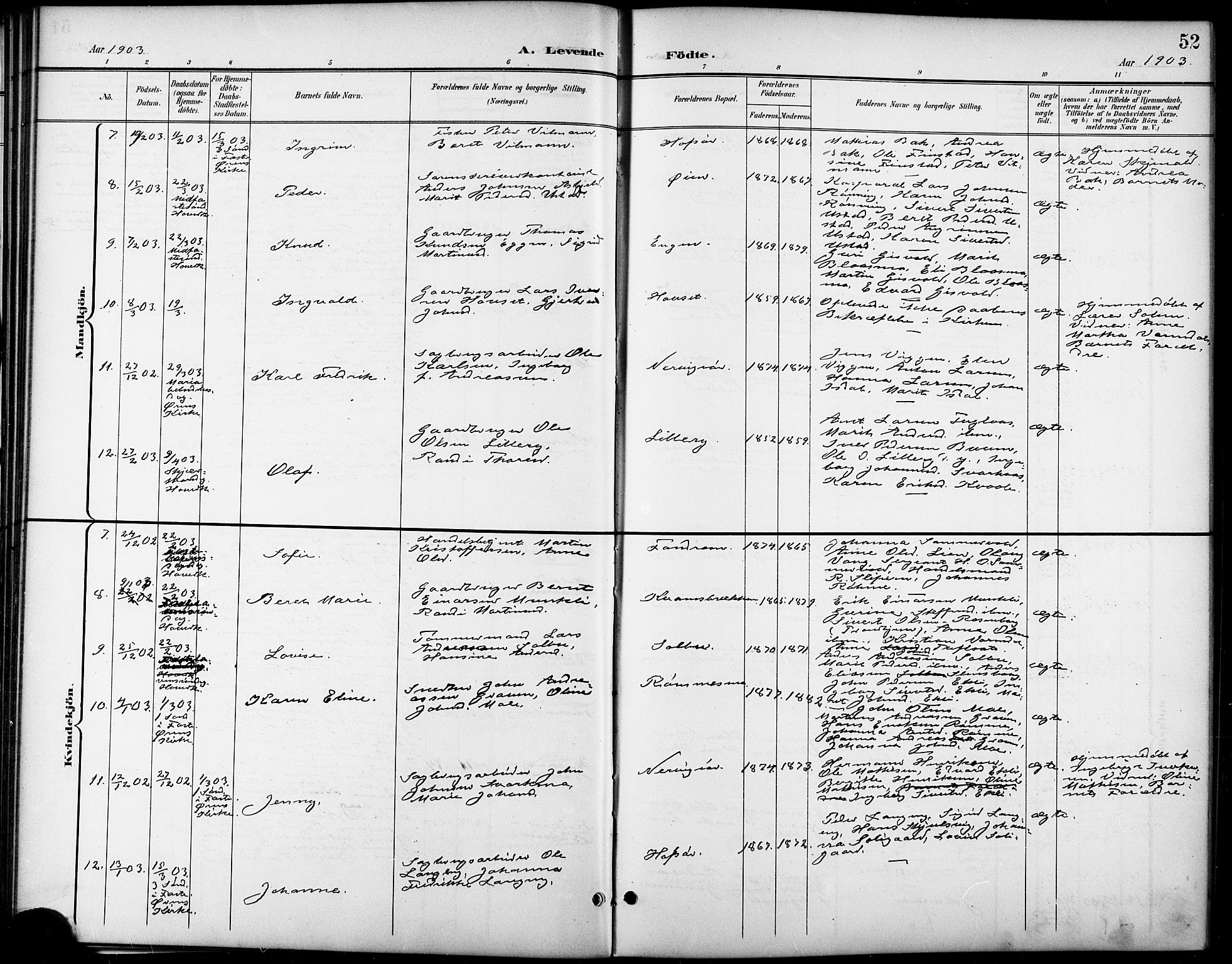 Ministerialprotokoller, klokkerbøker og fødselsregistre - Sør-Trøndelag, SAT/A-1456/668/L0819: Parish register (copy) no. 668C08, 1899-1912, p. 52