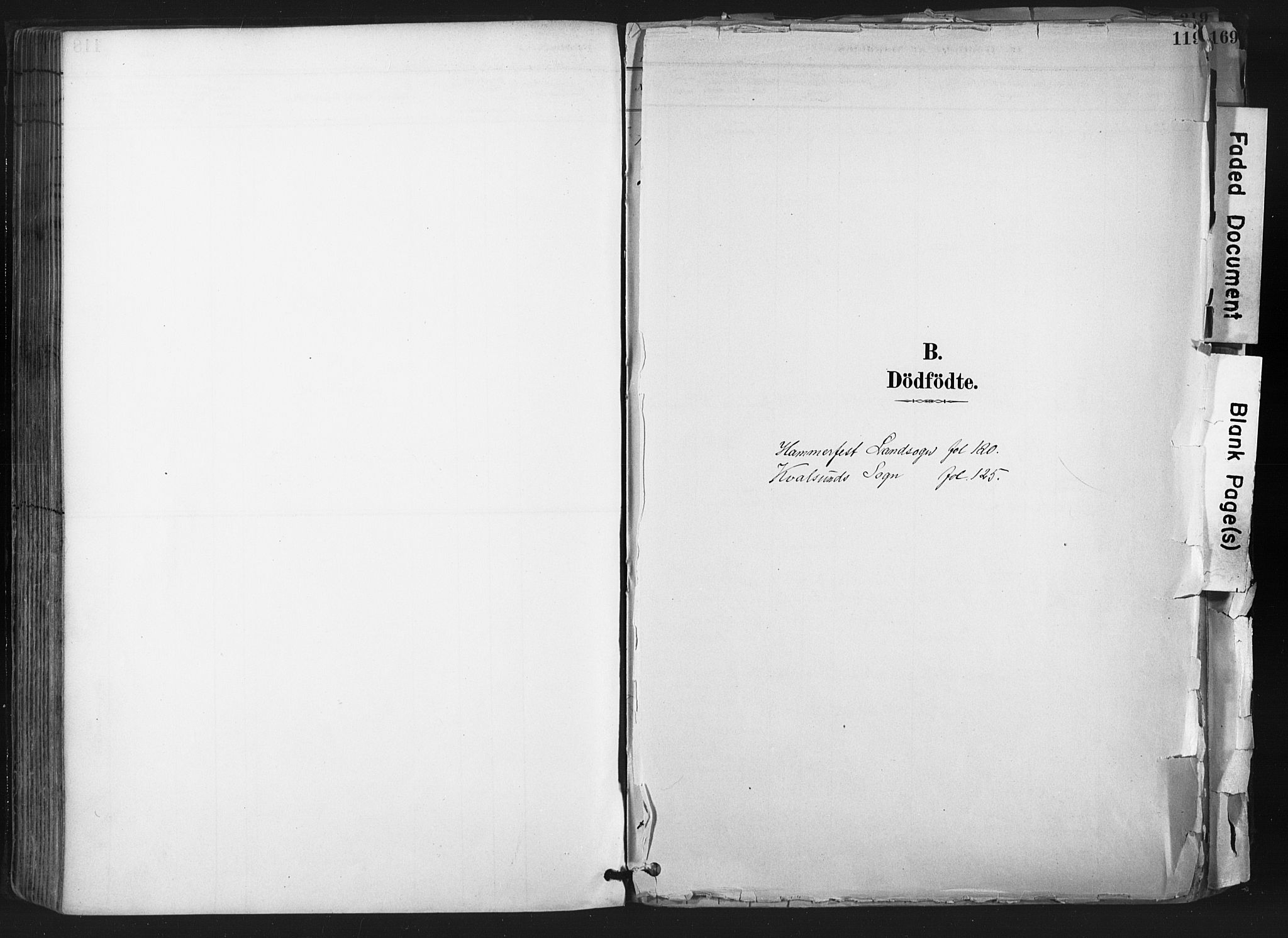 Hammerfest sokneprestkontor, SATØ/S-1347: Parish register (official) no. 11 /1, 1885-1897, p. 119