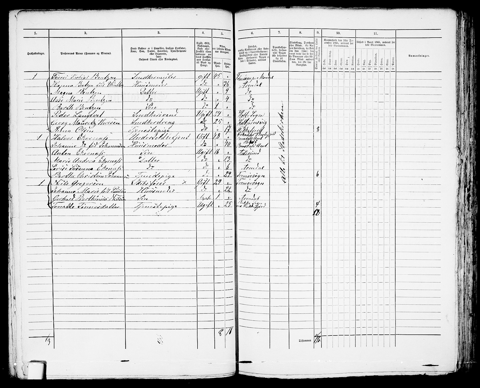 RA, 1865 census for Arendal, 1865, p. 172