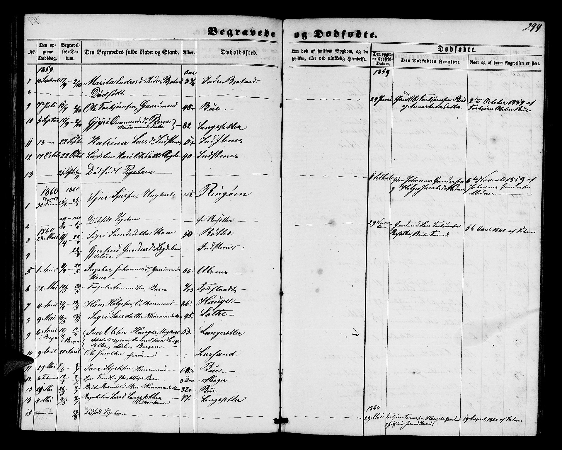 Ullensvang sokneprestembete, SAB/A-78701/H/Hab: Parish register (copy) no. E 6, 1857-1886, p. 294