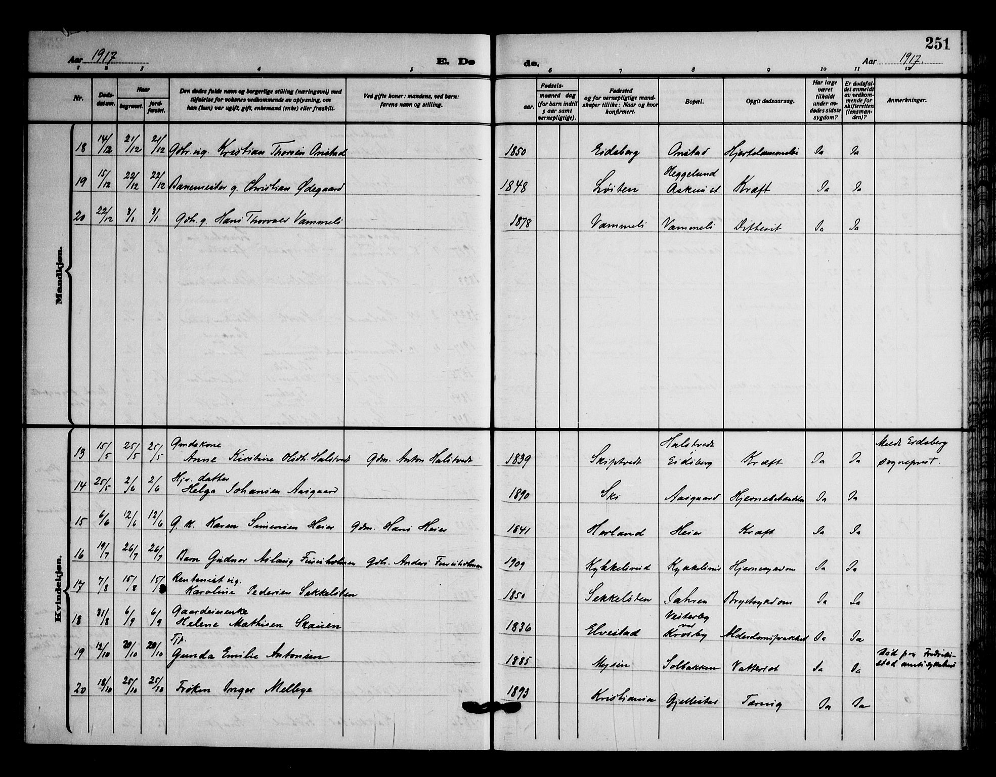 Askim prestekontor Kirkebøker, AV/SAO-A-10900/F/Fa/L0009: Parish register (official) no. 9, 1913-1923, p. 251