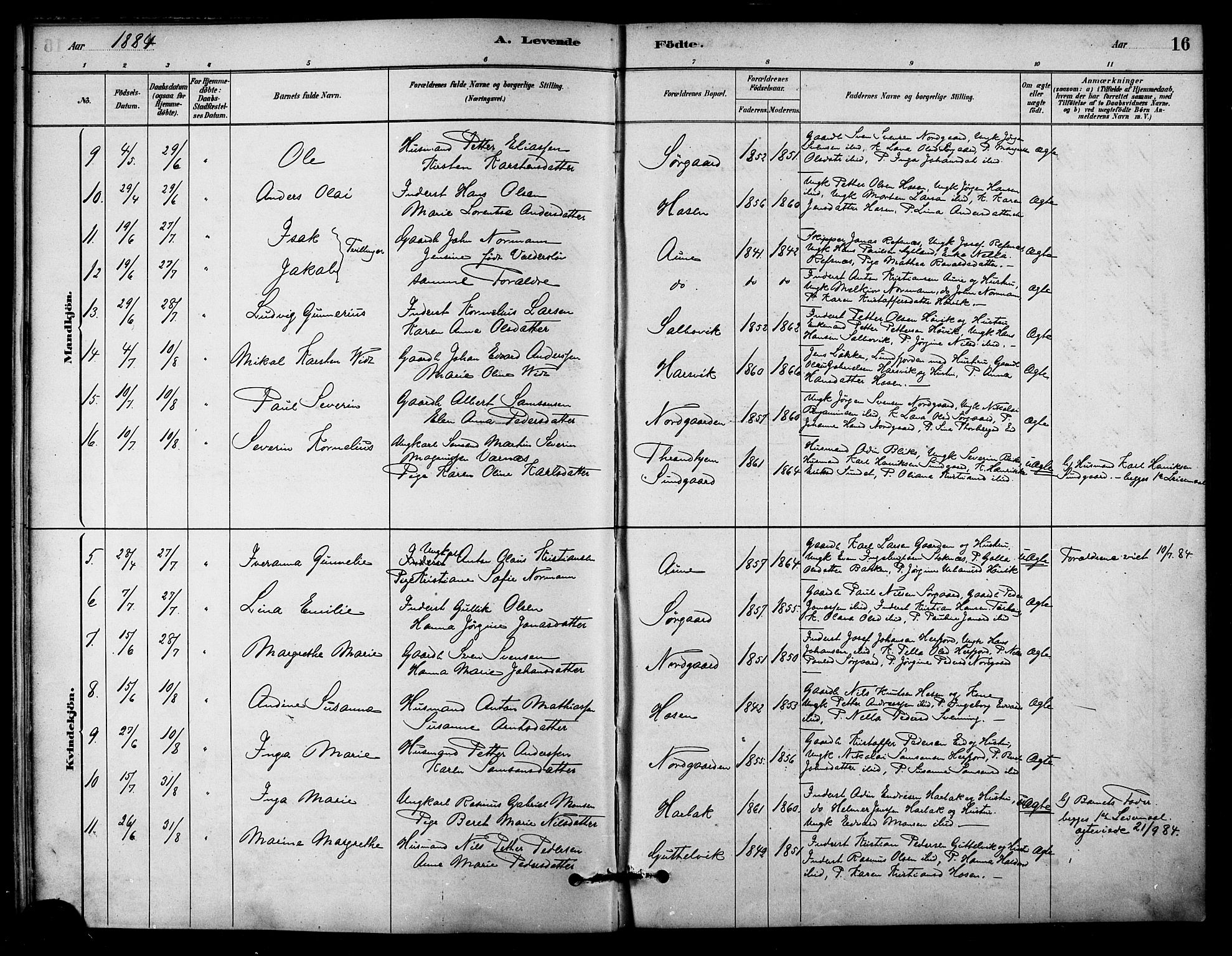 Ministerialprotokoller, klokkerbøker og fødselsregistre - Sør-Trøndelag, SAT/A-1456/656/L0692: Parish register (official) no. 656A01, 1879-1893, p. 16