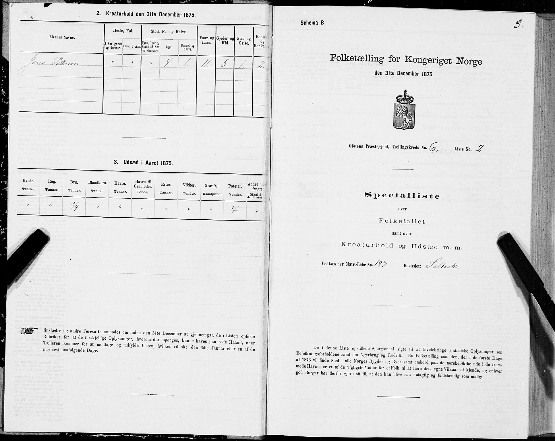 SAT, 1875 census for 1853P Ofoten, 1875, p. 4003