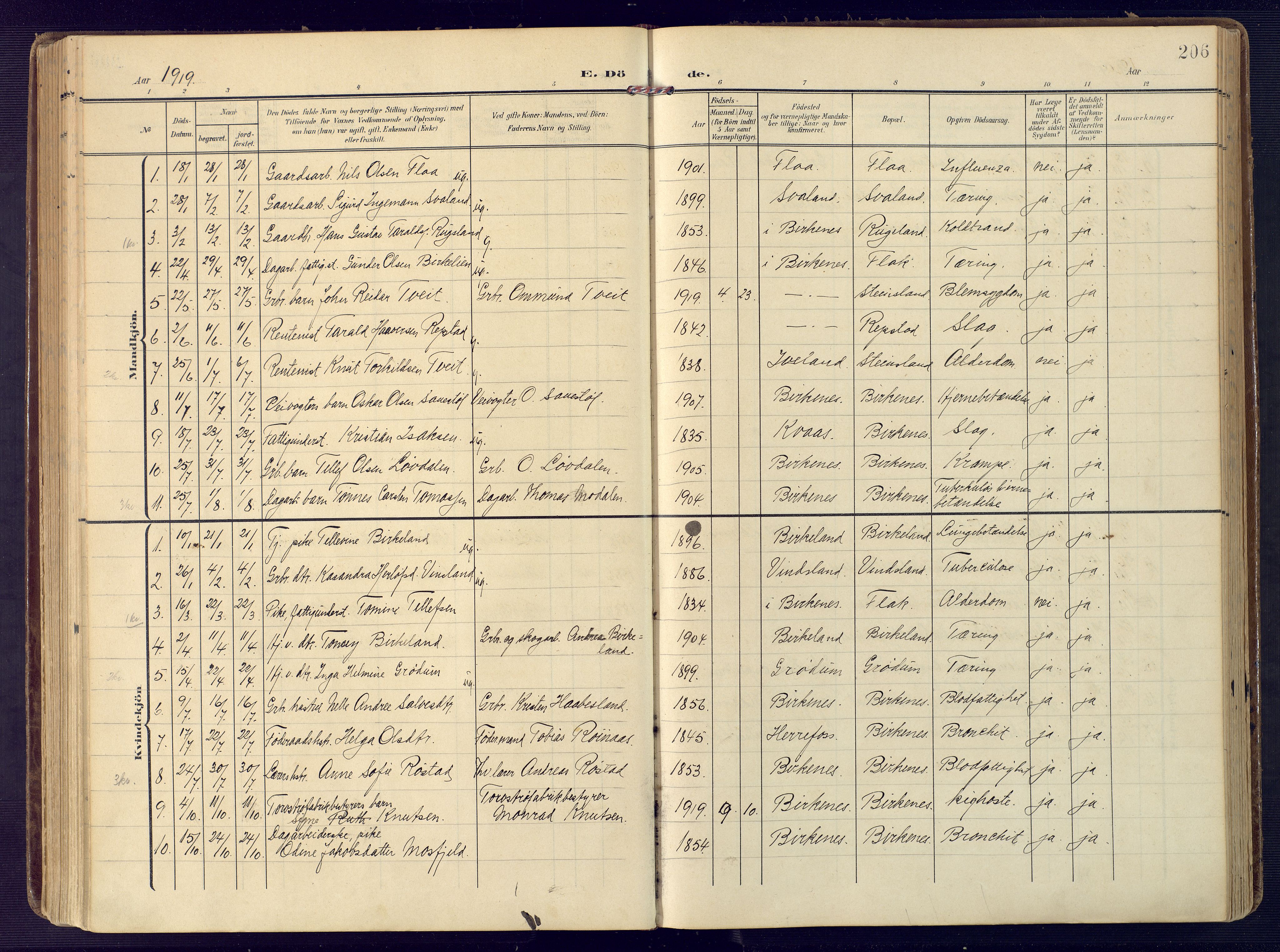 Birkenes sokneprestkontor, SAK/1111-0004/F/Fa/L0006: Parish register (official) no. A 6, 1908-1932, p. 206