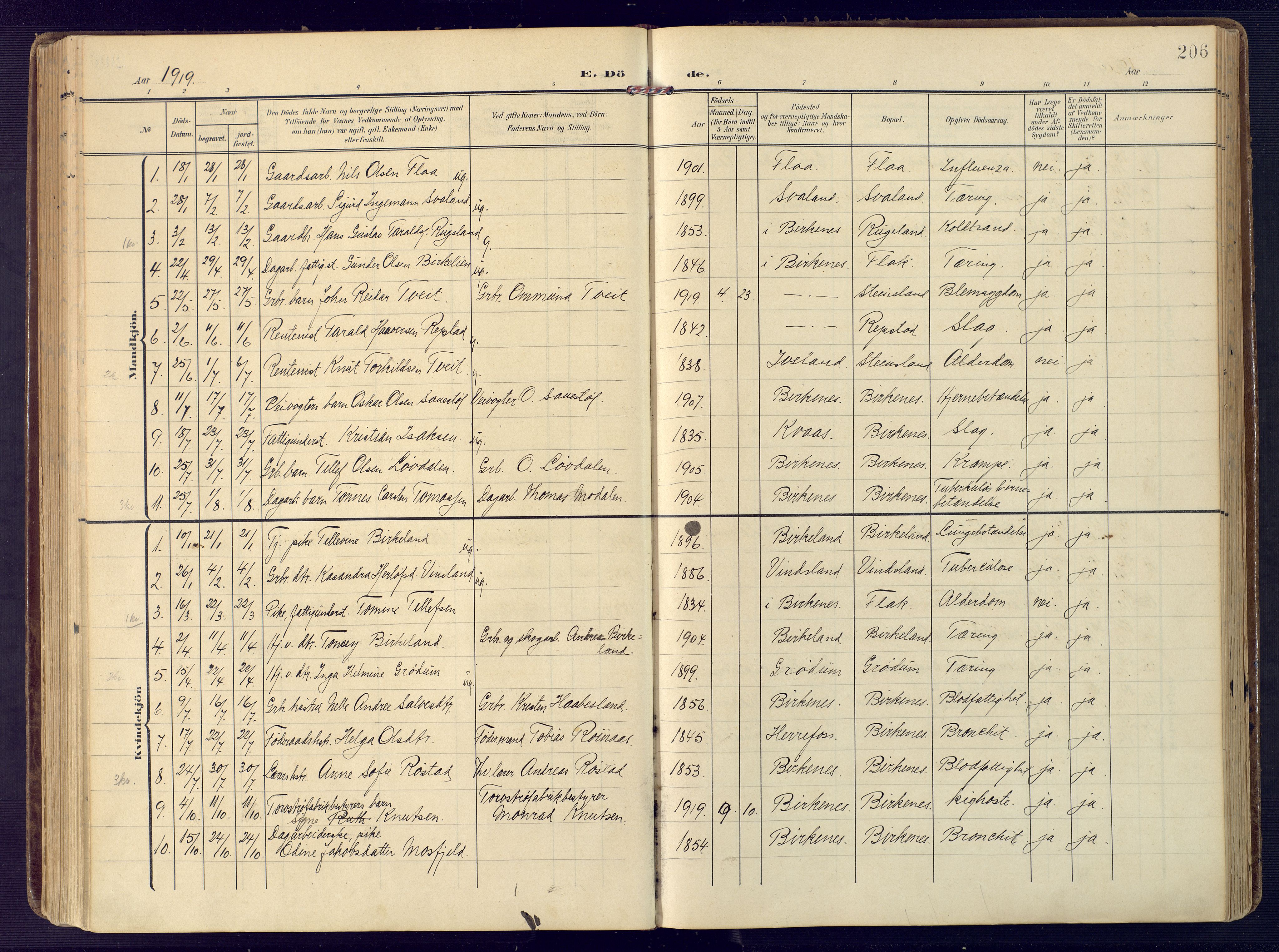 Birkenes sokneprestkontor, AV/SAK-1111-0004/F/Fa/L0006: Parish register (official) no. A 6, 1908-1932, p. 206