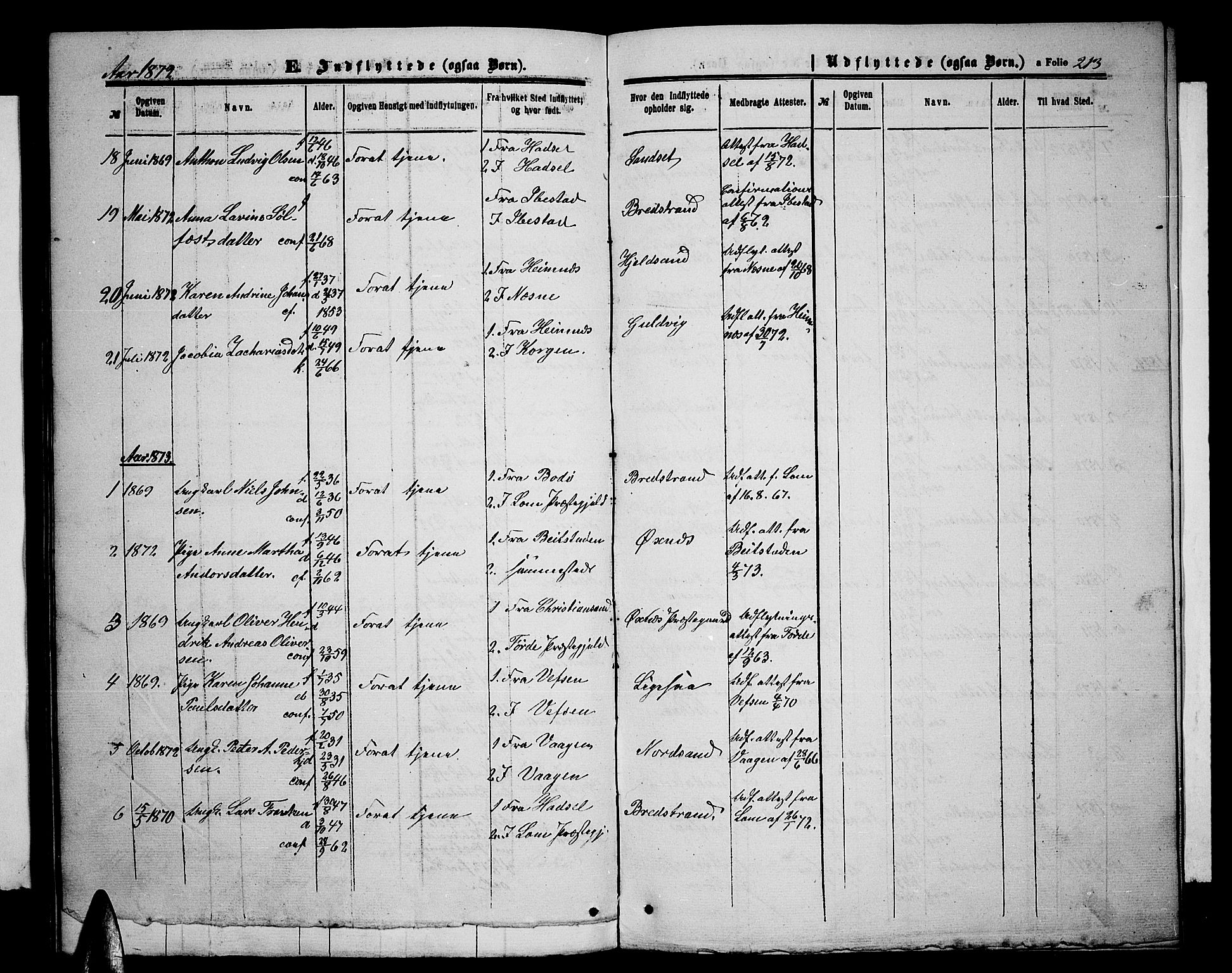 Ministerialprotokoller, klokkerbøker og fødselsregistre - Nordland, SAT/A-1459/893/L1348: Parish register (copy) no. 893C03, 1867-1877, p. 213