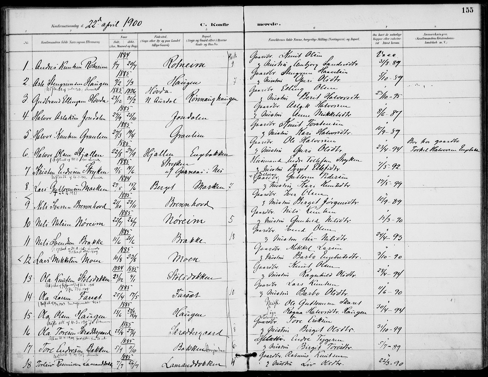 Gol kirkebøker, AV/SAKO-A-226/F/Fa/L0005: Parish register (official) no. I 5, 1887-1900, p. 155